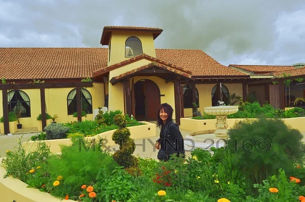 Ascension Wine Estate, Tuscan architecture, Matakana, NZ