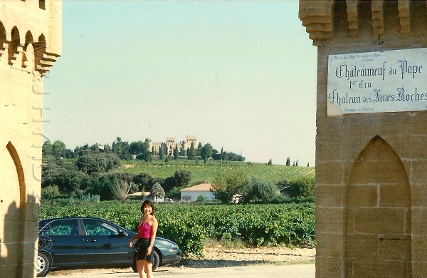 Chateauneuf du Pape verdant vineyards, Rhone, France