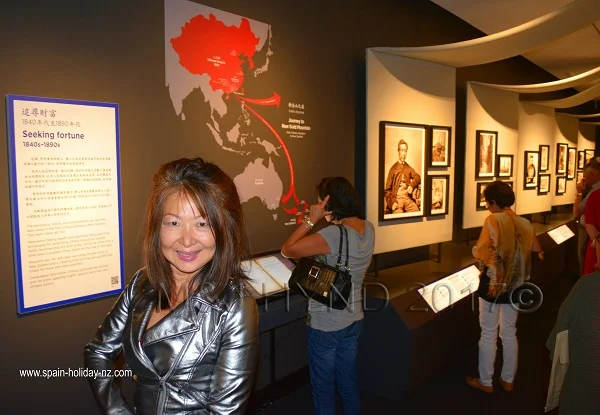 Auckland Museum CNY 2017