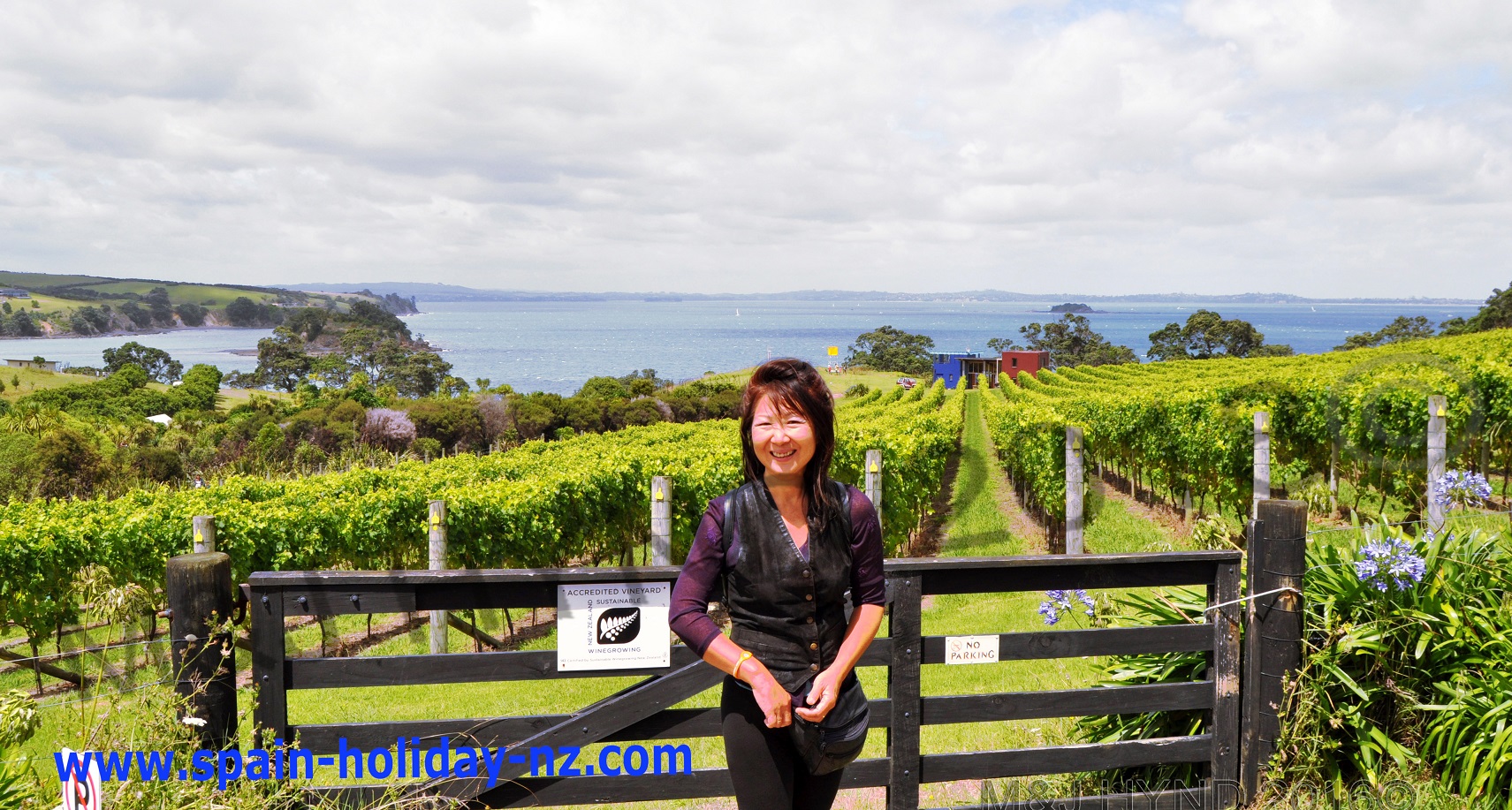 …one of many vineyards on waiheke island, near auckland
