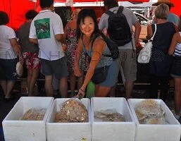 gisborne-farmers-market-takapuna.JPG