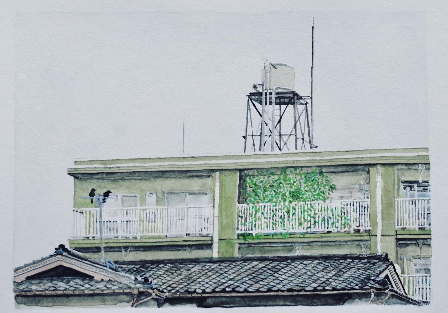 A recent commissioned painting of a lovely building in Toyama and two of Toyama&rsquo;s top crows. 
I used that masking fluid stuff to do the white railings. 

#art #smallart #artonpaper #smallpainting #contemporaryart #contemporarypainting #contempo