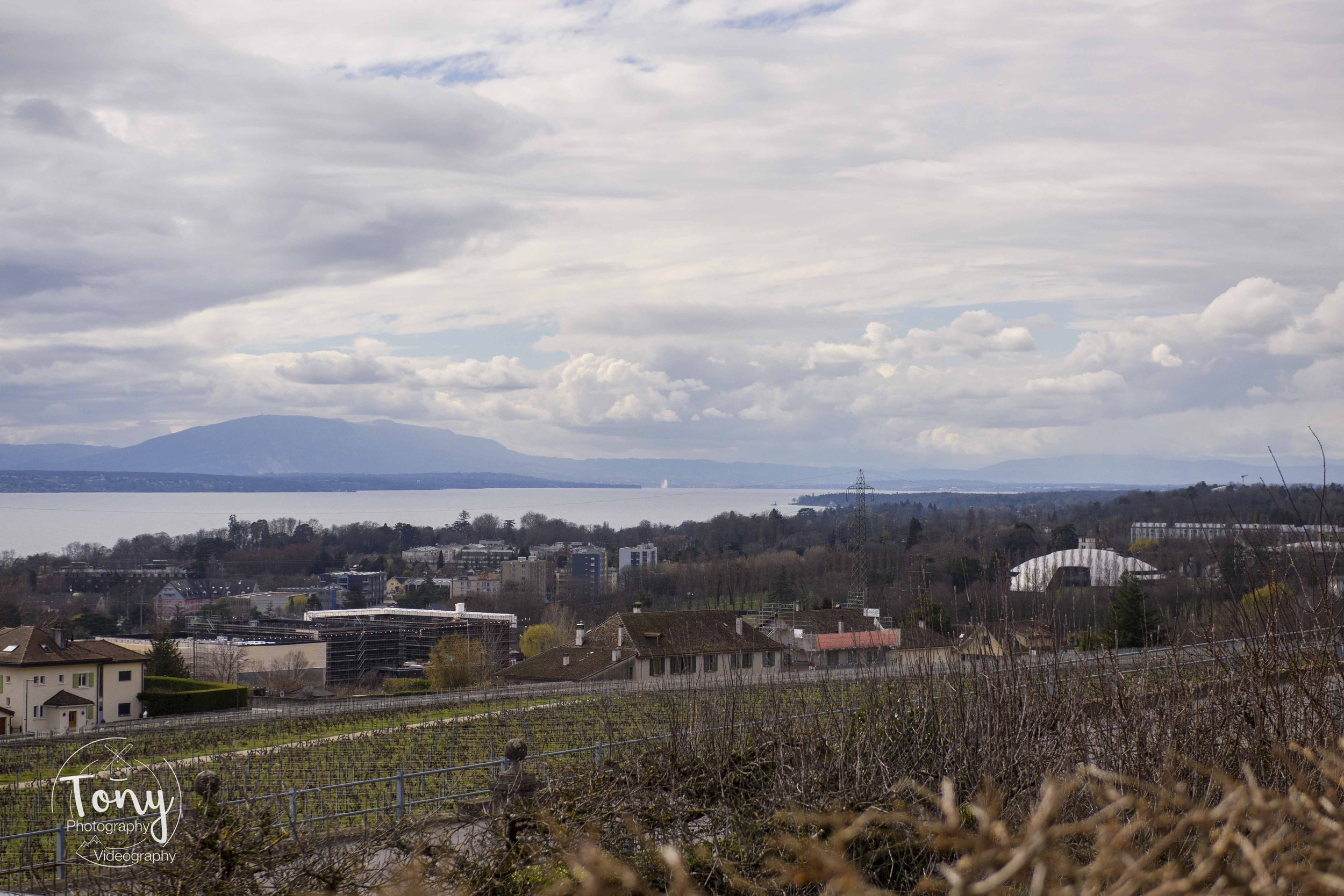 winetour (16 of 216).jpg