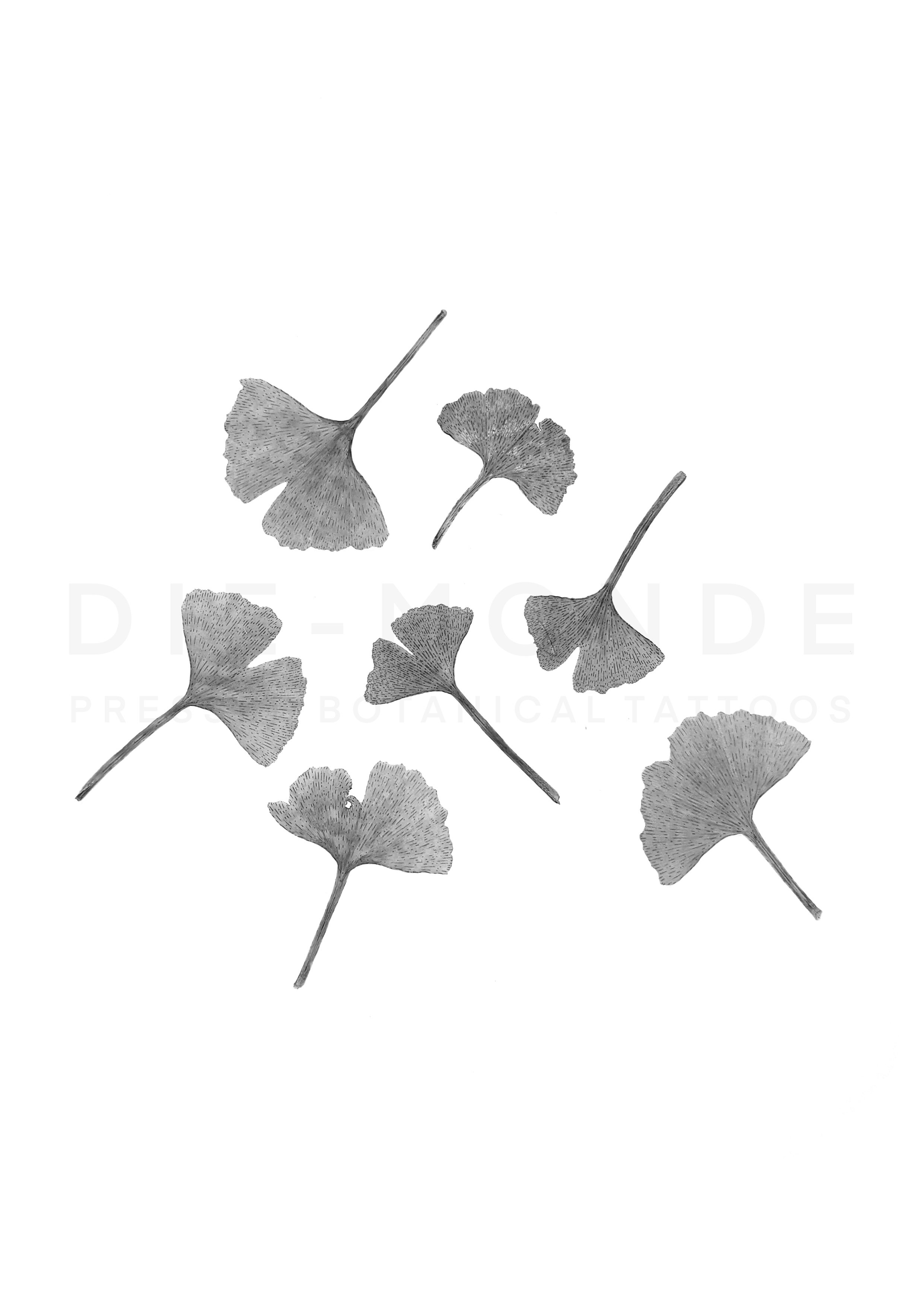 Flash no. 12, Ginkgo leaves, £120+ depending on size and amount