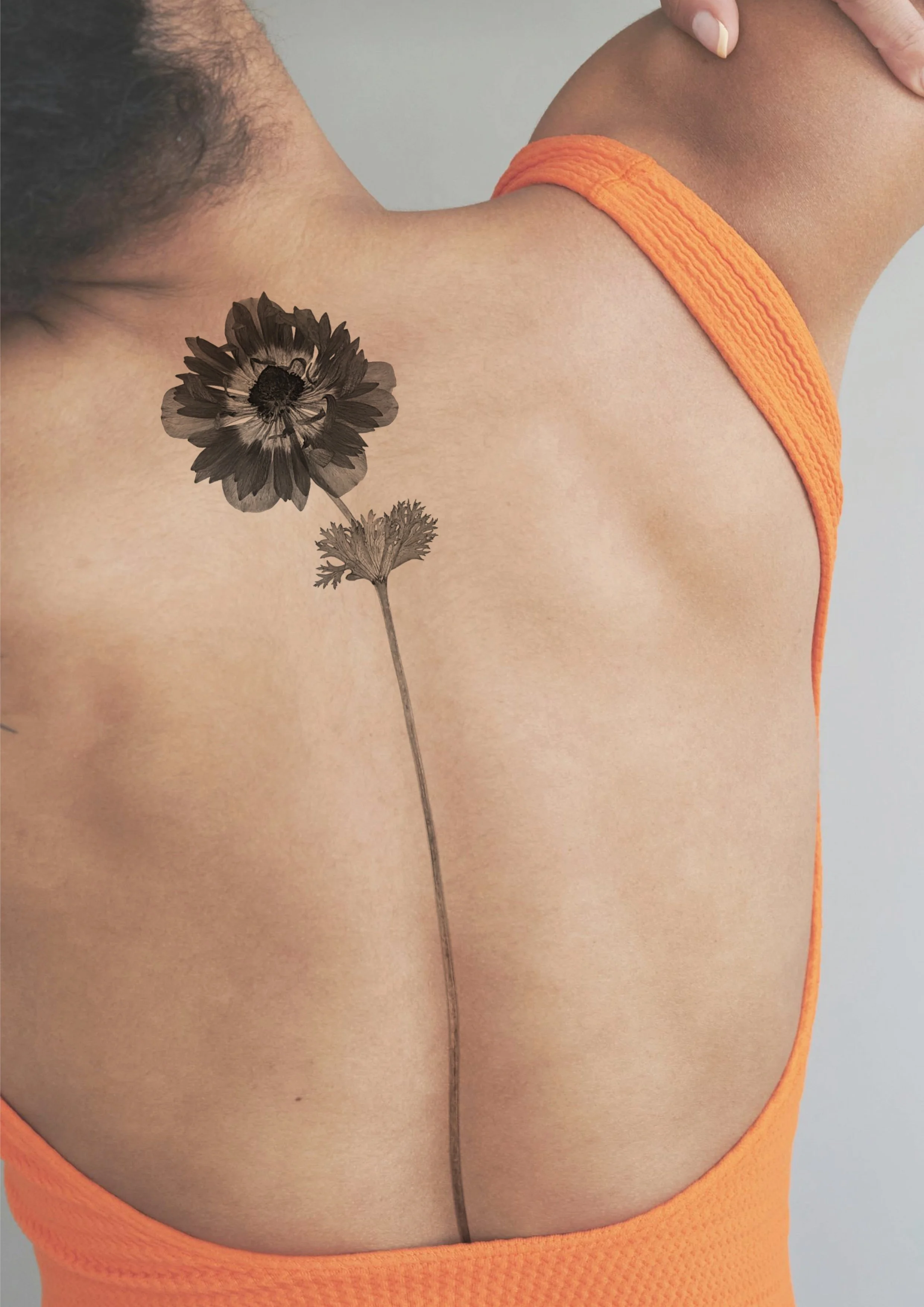 Placement idea