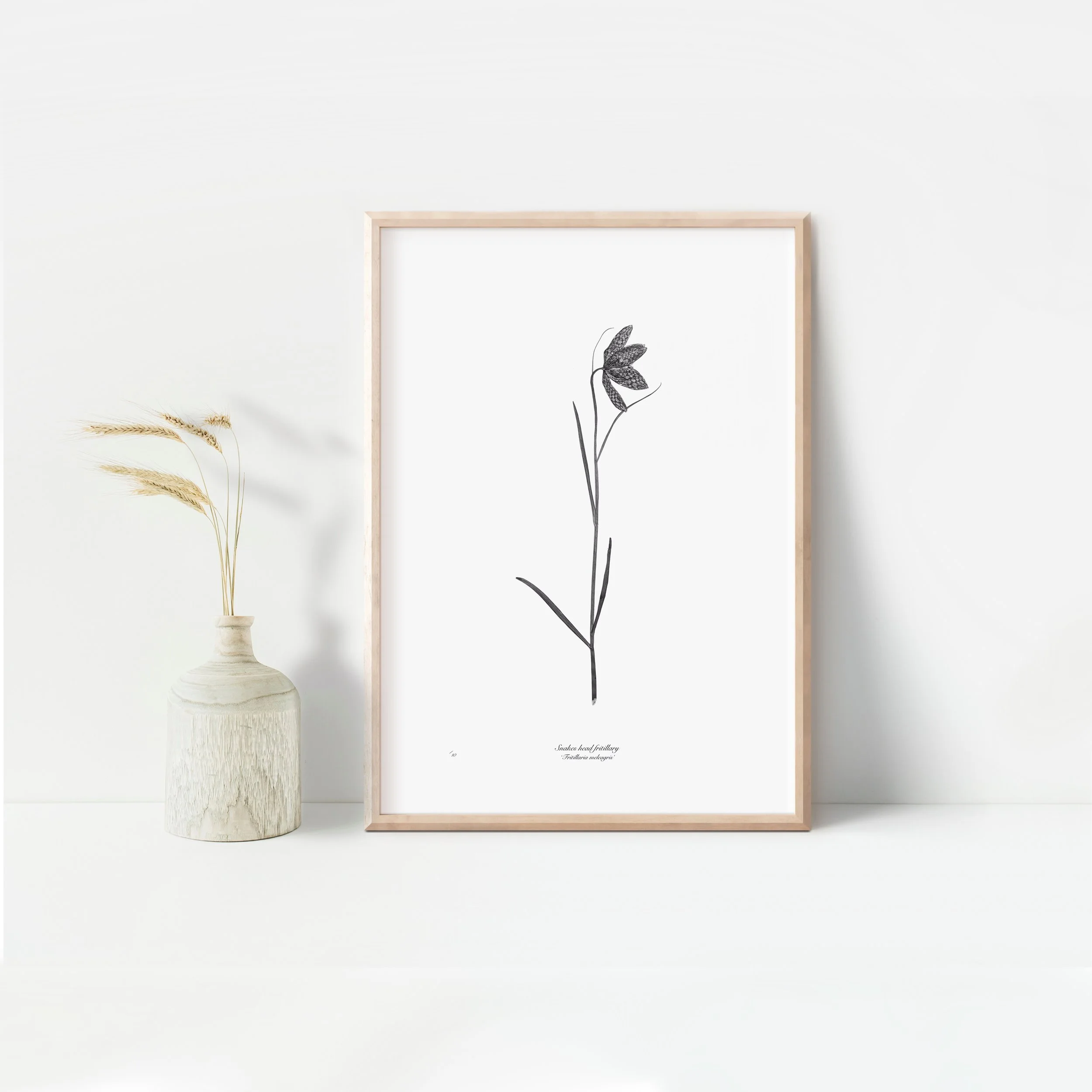 Framed Snakes head fritillary.jpeg