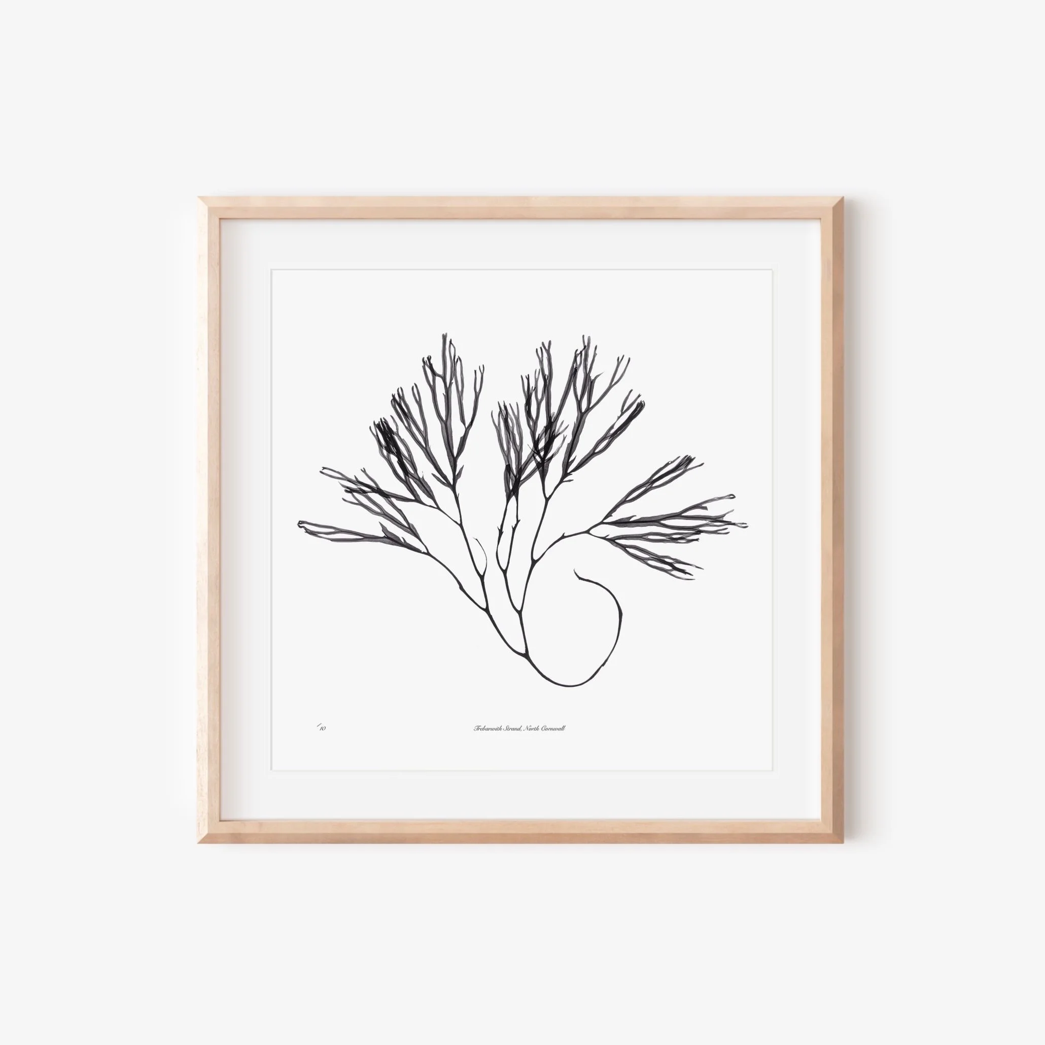 Large+framed+seaweed+mock+up.jpg