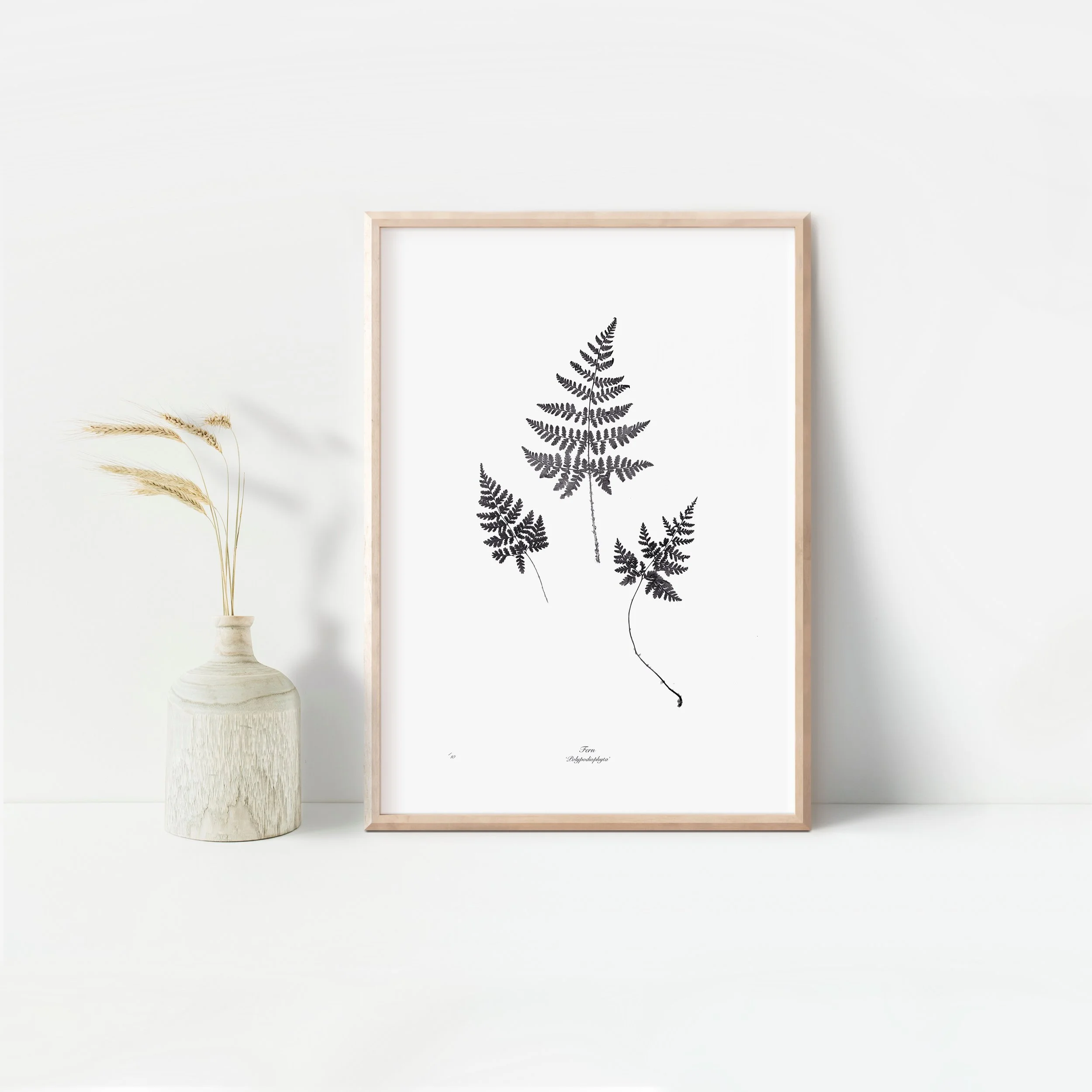 Framed Fern.jpeg