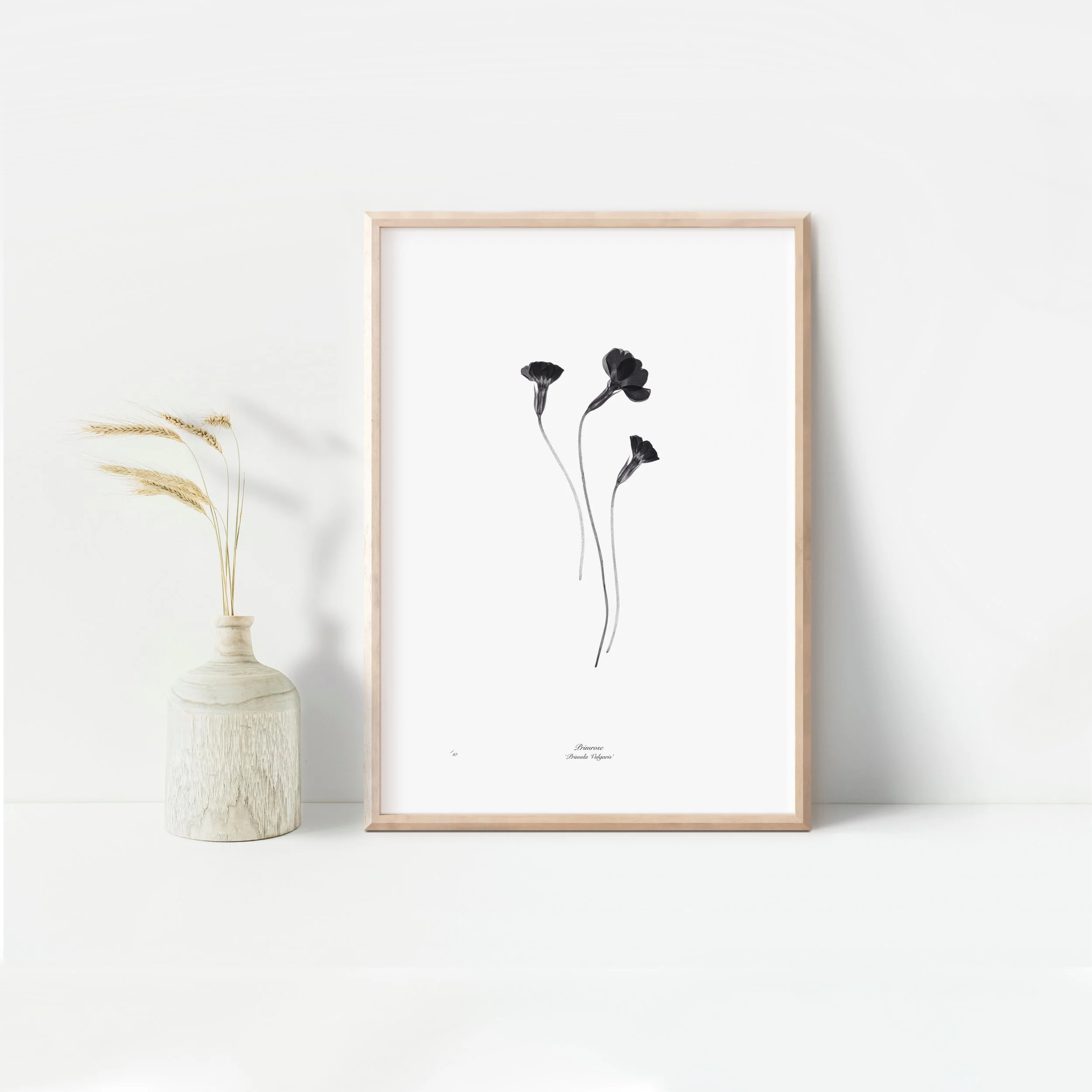 Framed primroses.jpeg