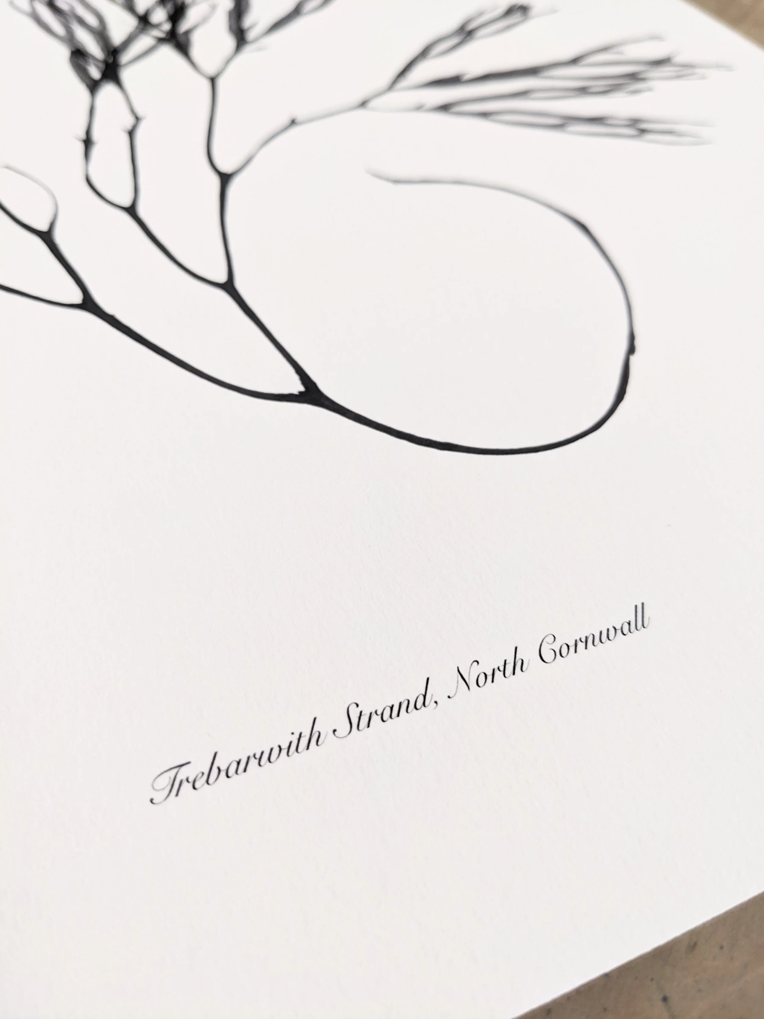 Trebarwith #1 close up.jpeg