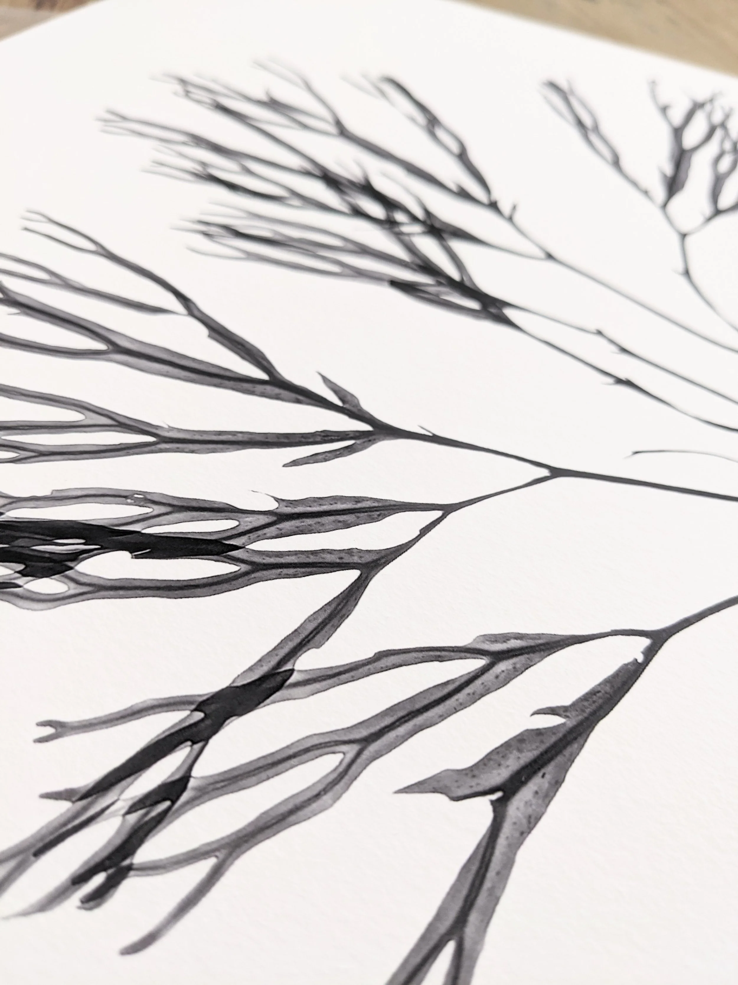 Trebarwith #1 close up .jpeg