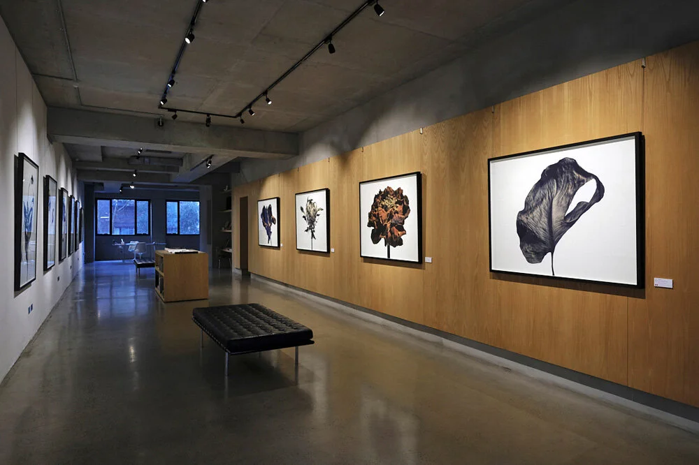 Without Water_Gallery_Isamu Sawa.jpg