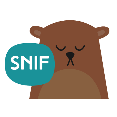 urso-01.png