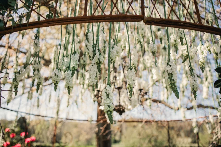 BM-Peppers-Craigieburn-Bowral-Wedding-Photography016.jpg