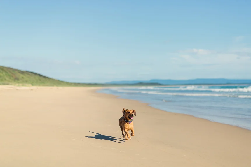 Currarong_SouthCoast_FamilyPhotography_TheBow001.jpg