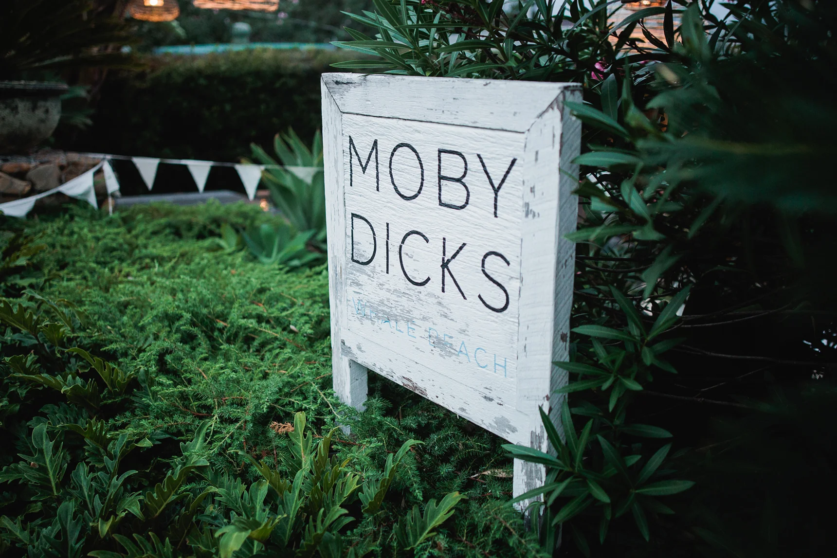AngeRuss_MobyDicks_WhaleBeach_Wedding_Photography041.jpg