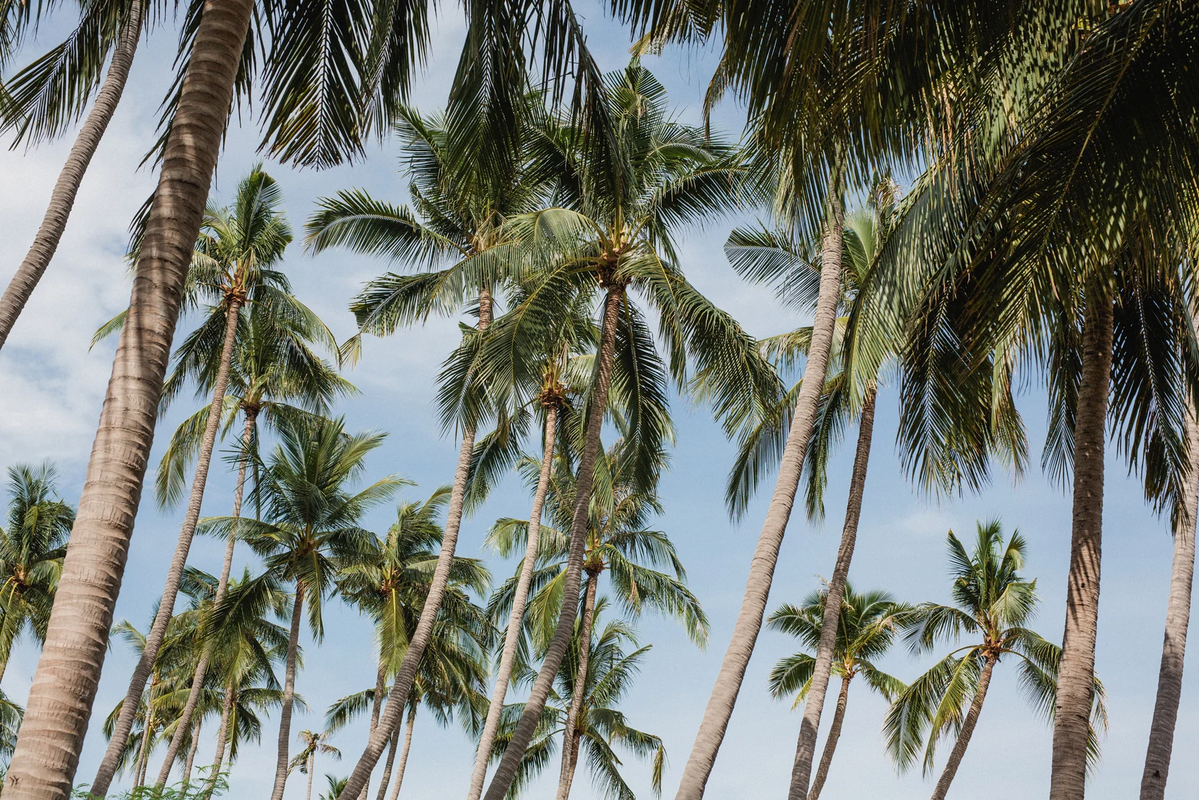 TB_VillaKalyana_KohSamui_WeddingPhotographer_Thailand013.jpg