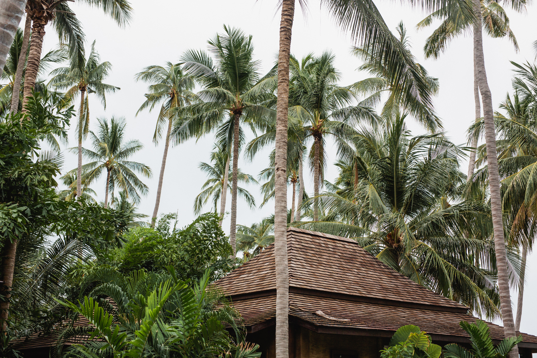 TB_VillaKalyana_KohSamui_WeddingPhotographer_Thailand159.jpg