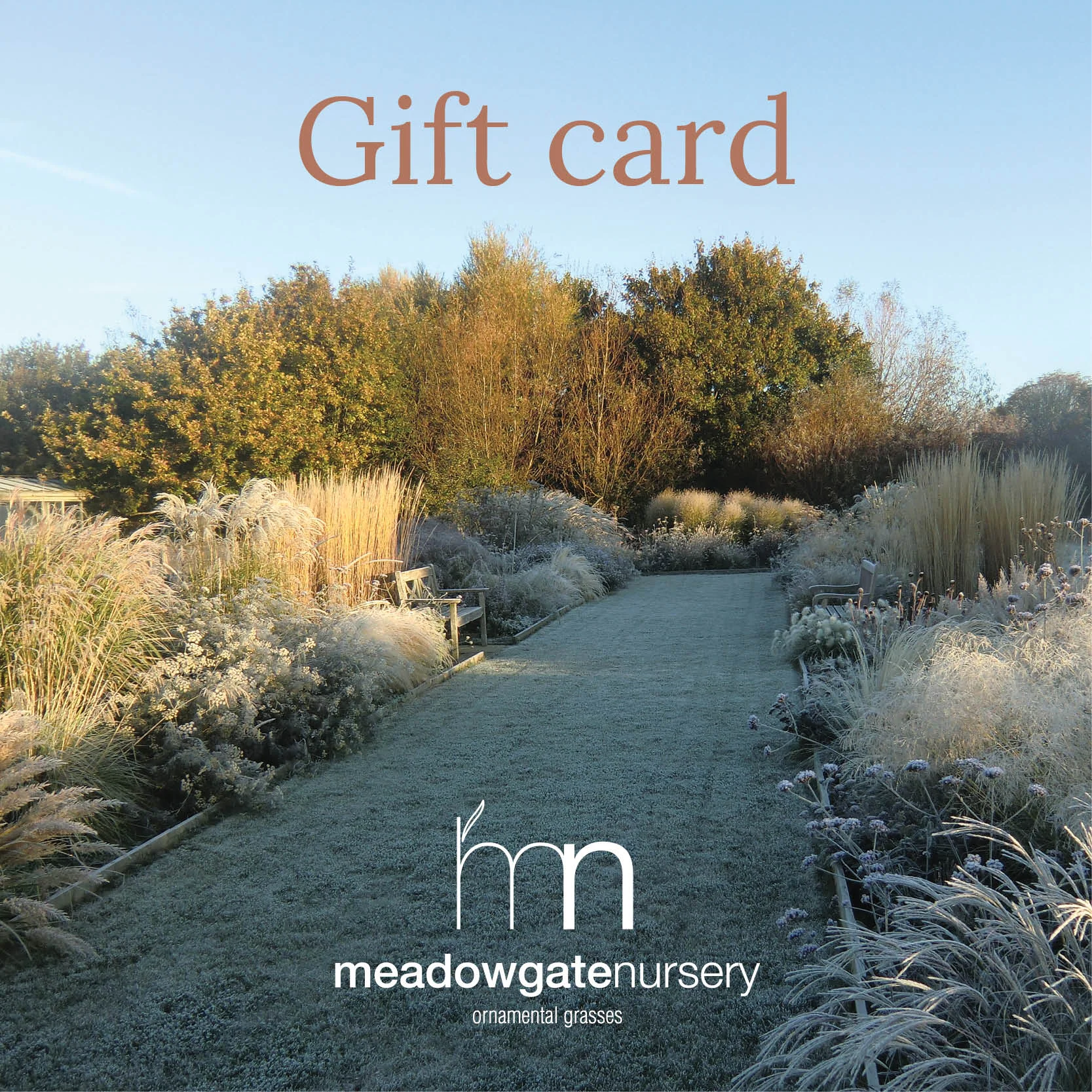 Meadowgate Nursery Gift Card