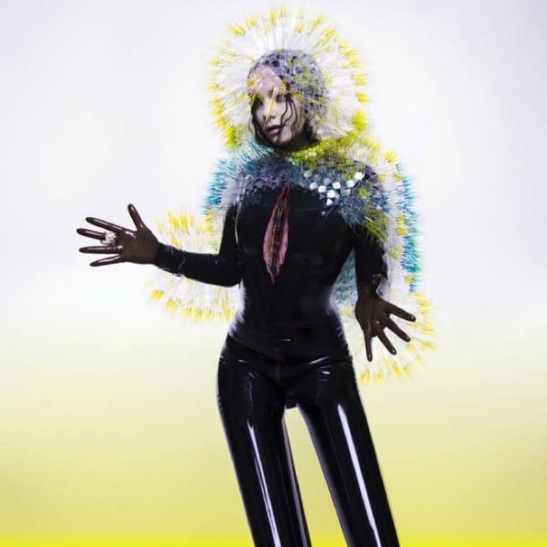 Bjork-Vulnicura.jpg