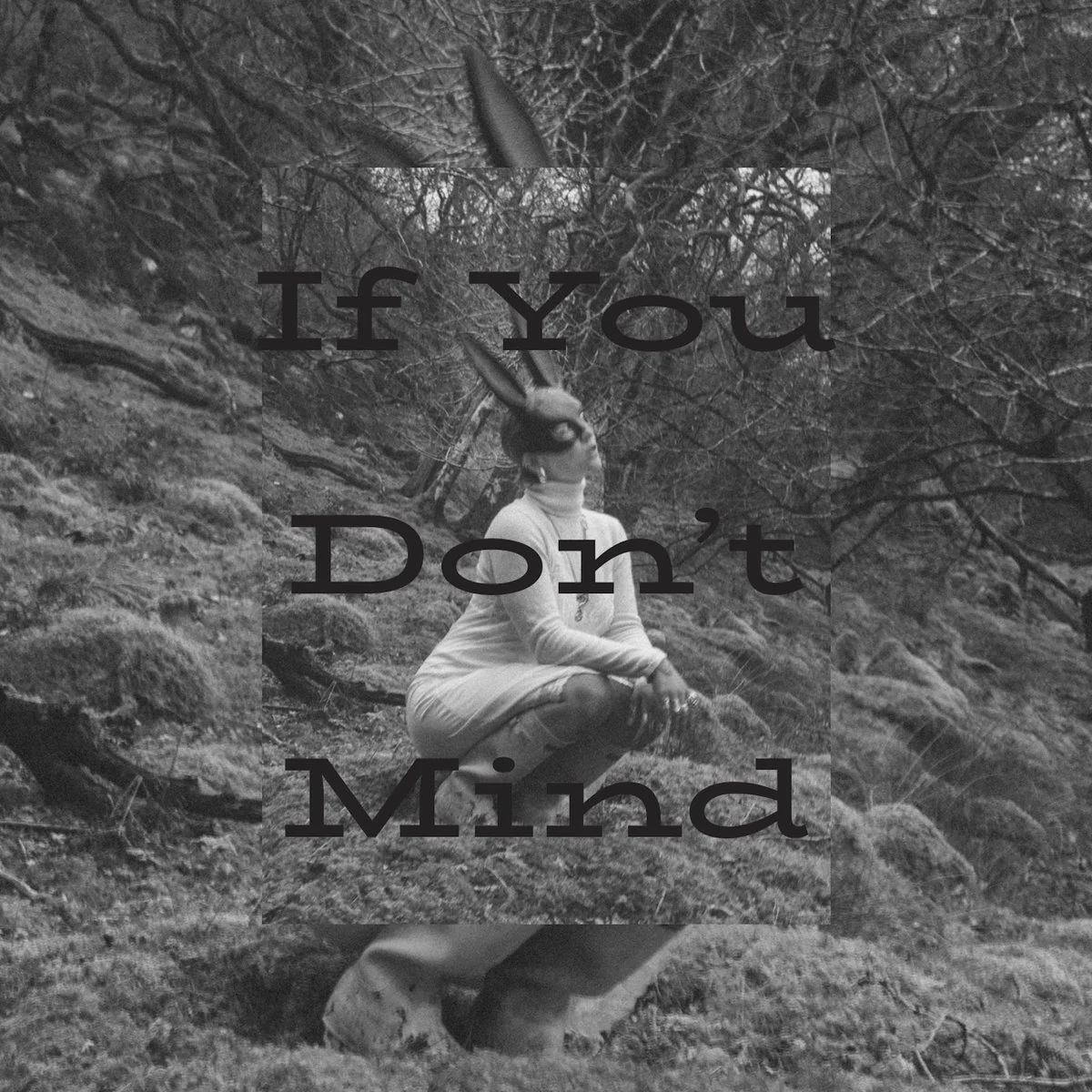 If You Don’t Mind