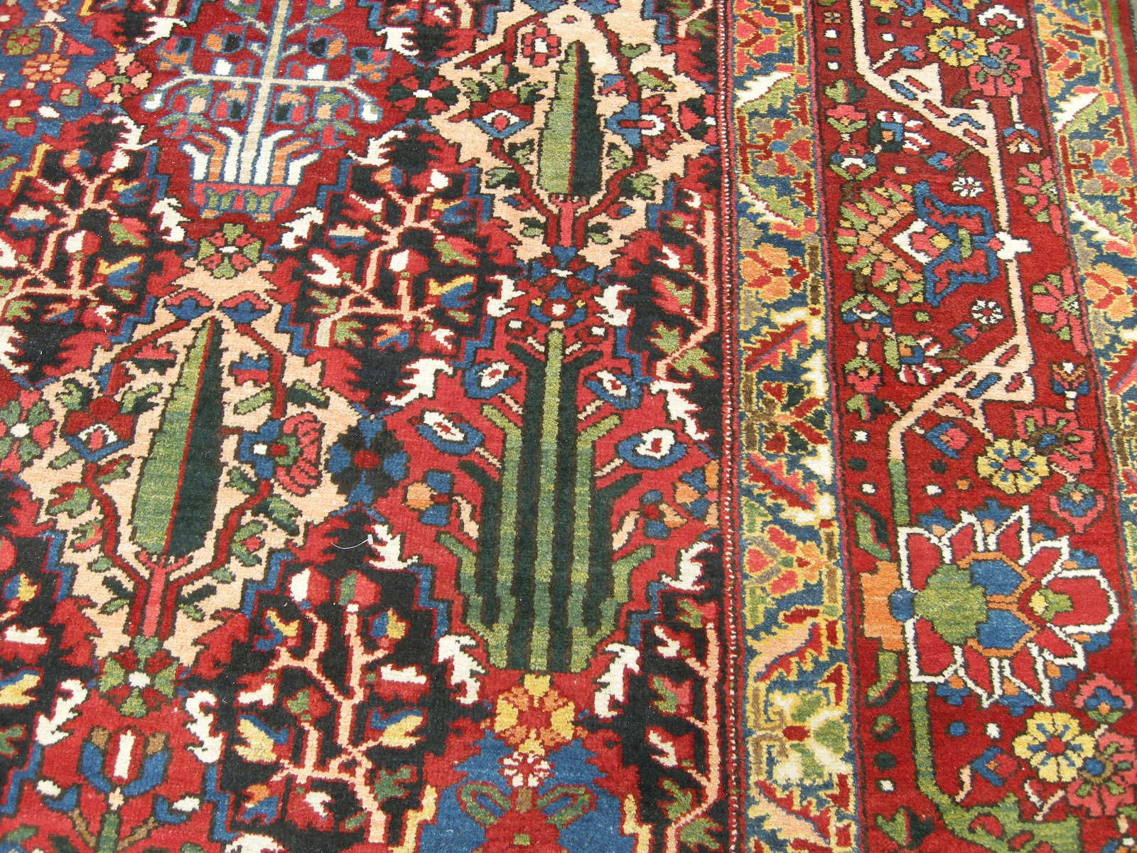 Baktiari carpet2.JPG