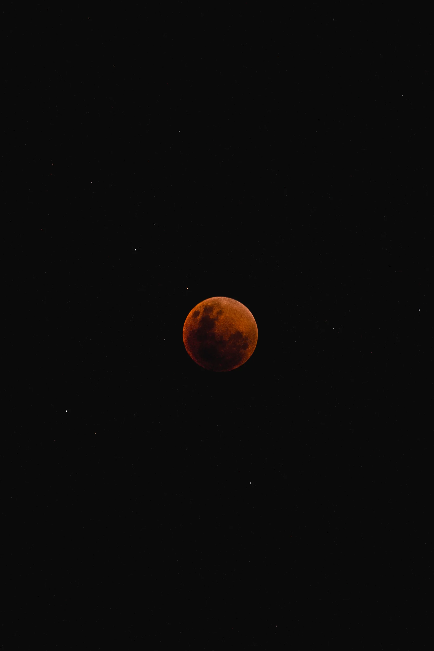 DSC04009.jpg