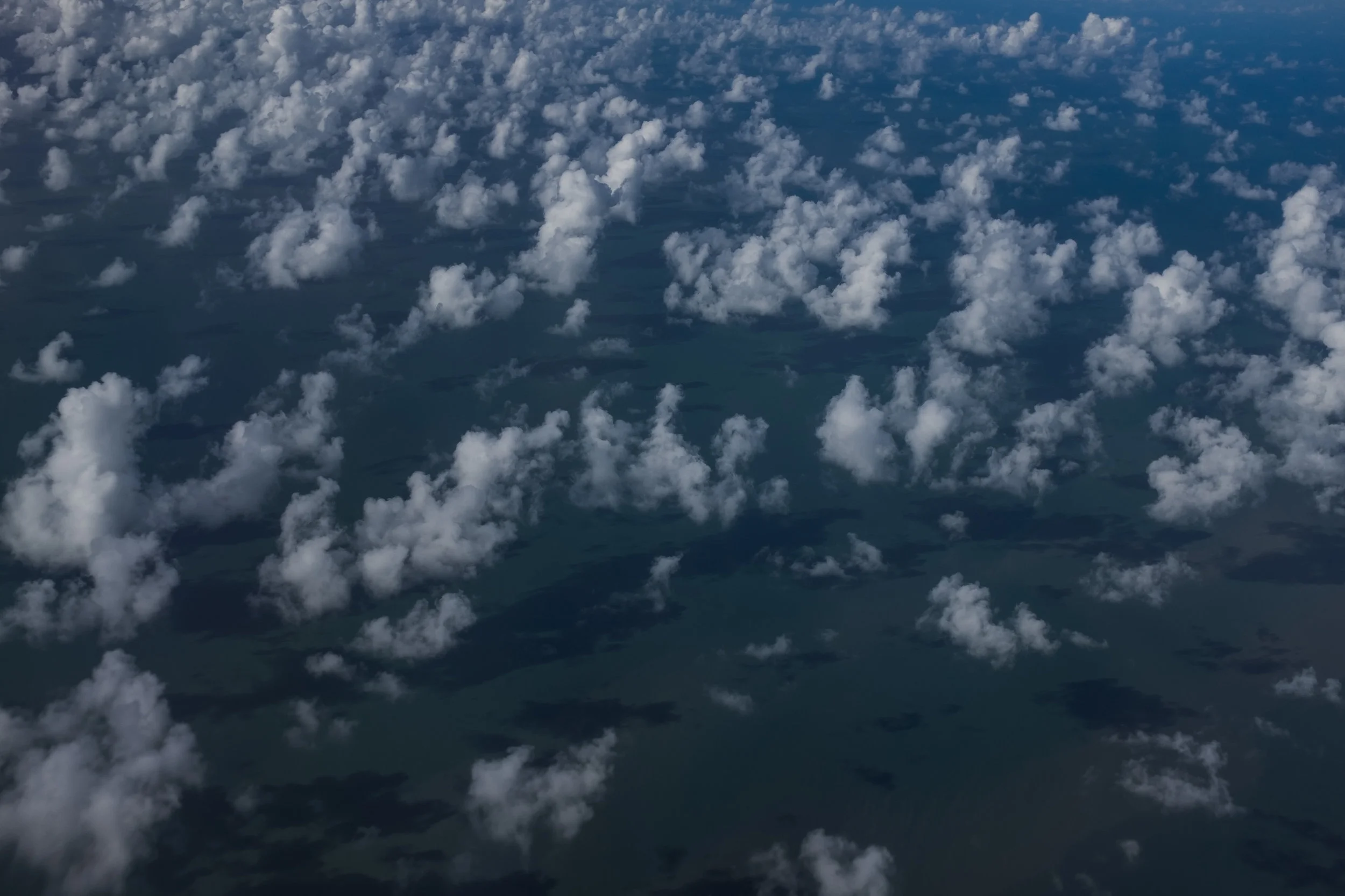 DSCF9253.jpg