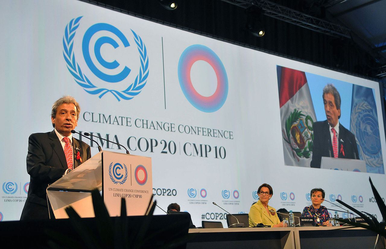 Opening of COP20 by Peruvian Minister of Foreign Affairs Gonzalo Gutiérrez Reinel
