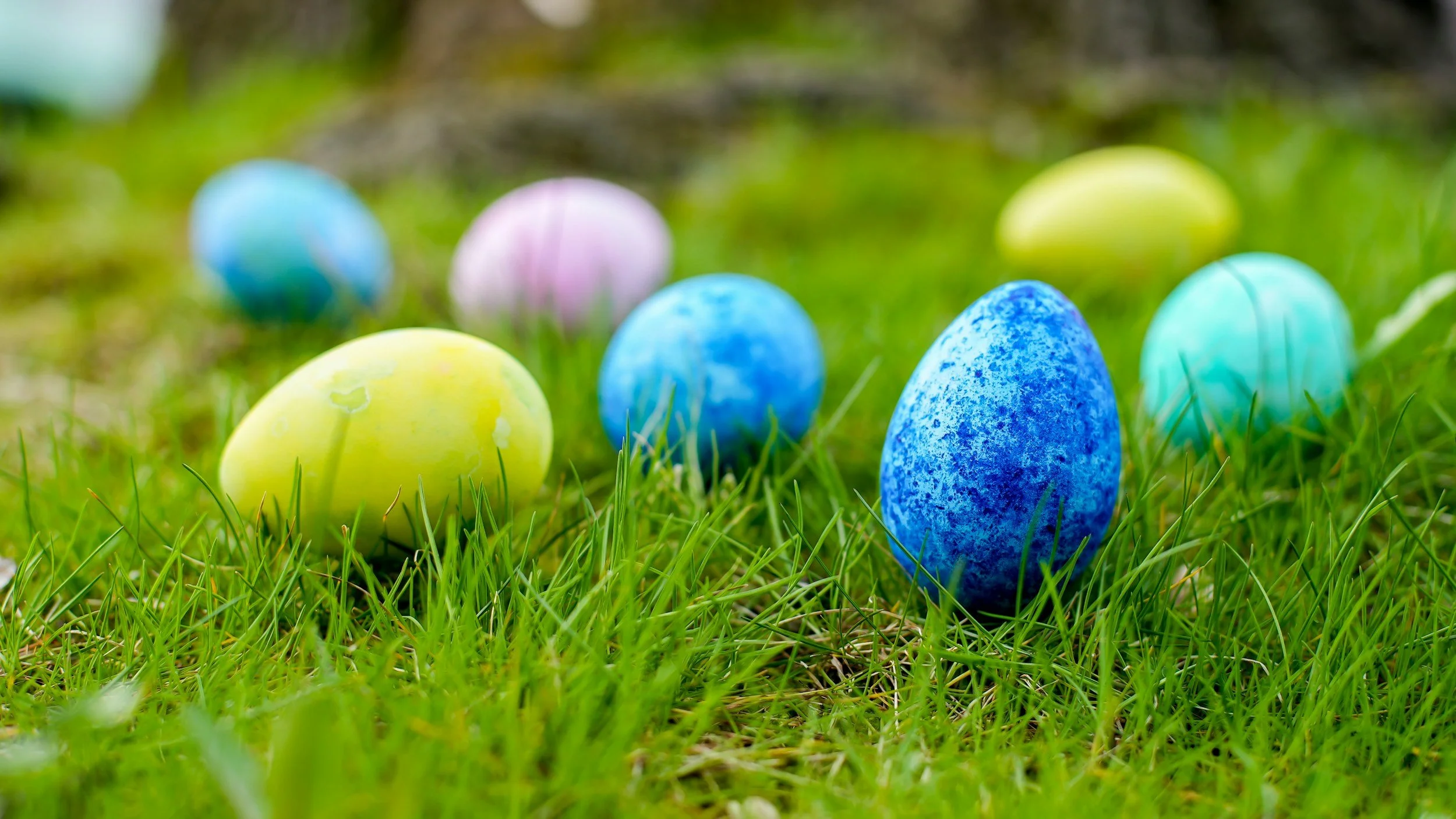 Easter Eggs Hunt