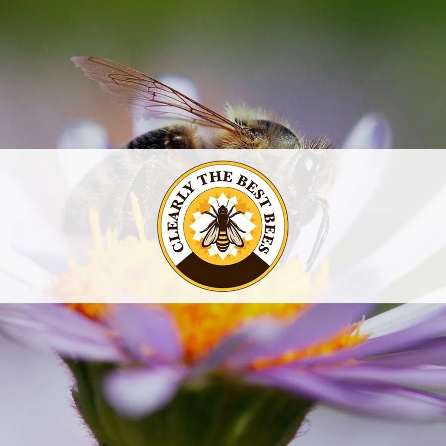 clearly-the-best-bees.jpg