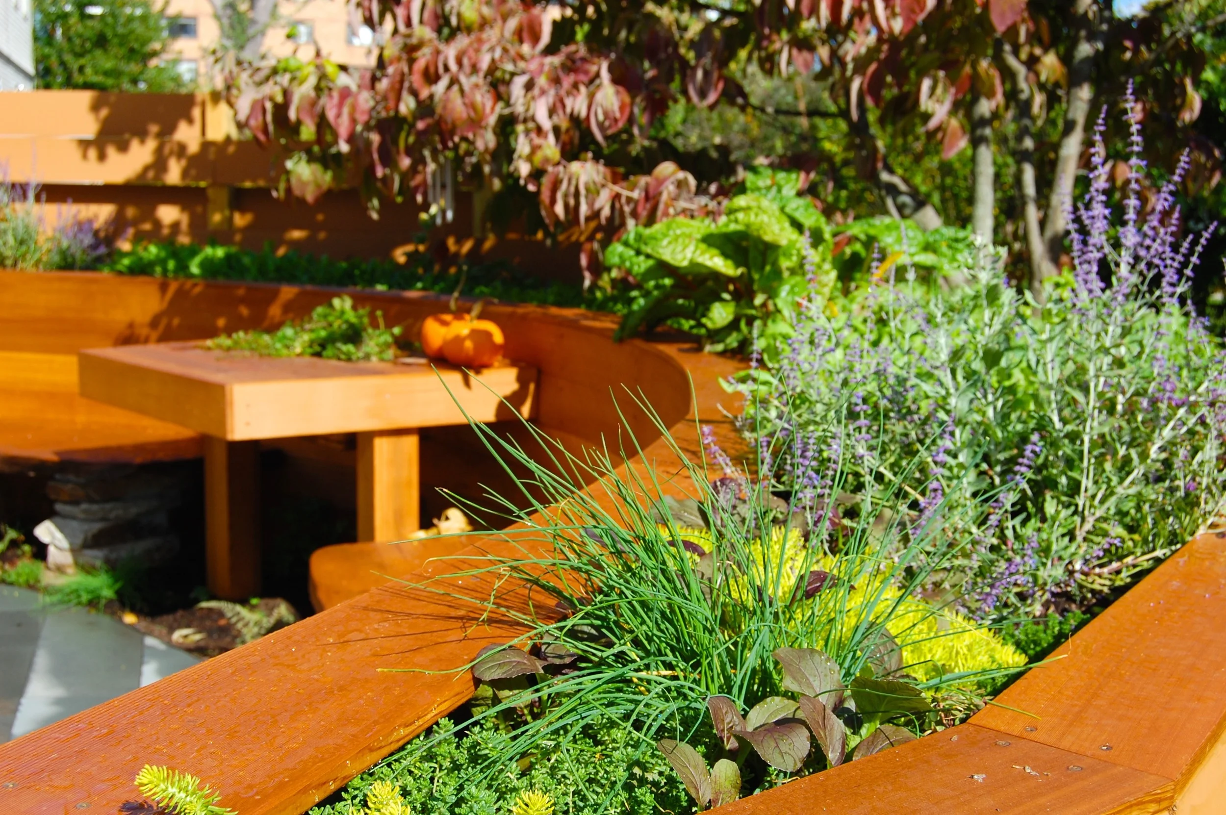 Artistic Edible Garden