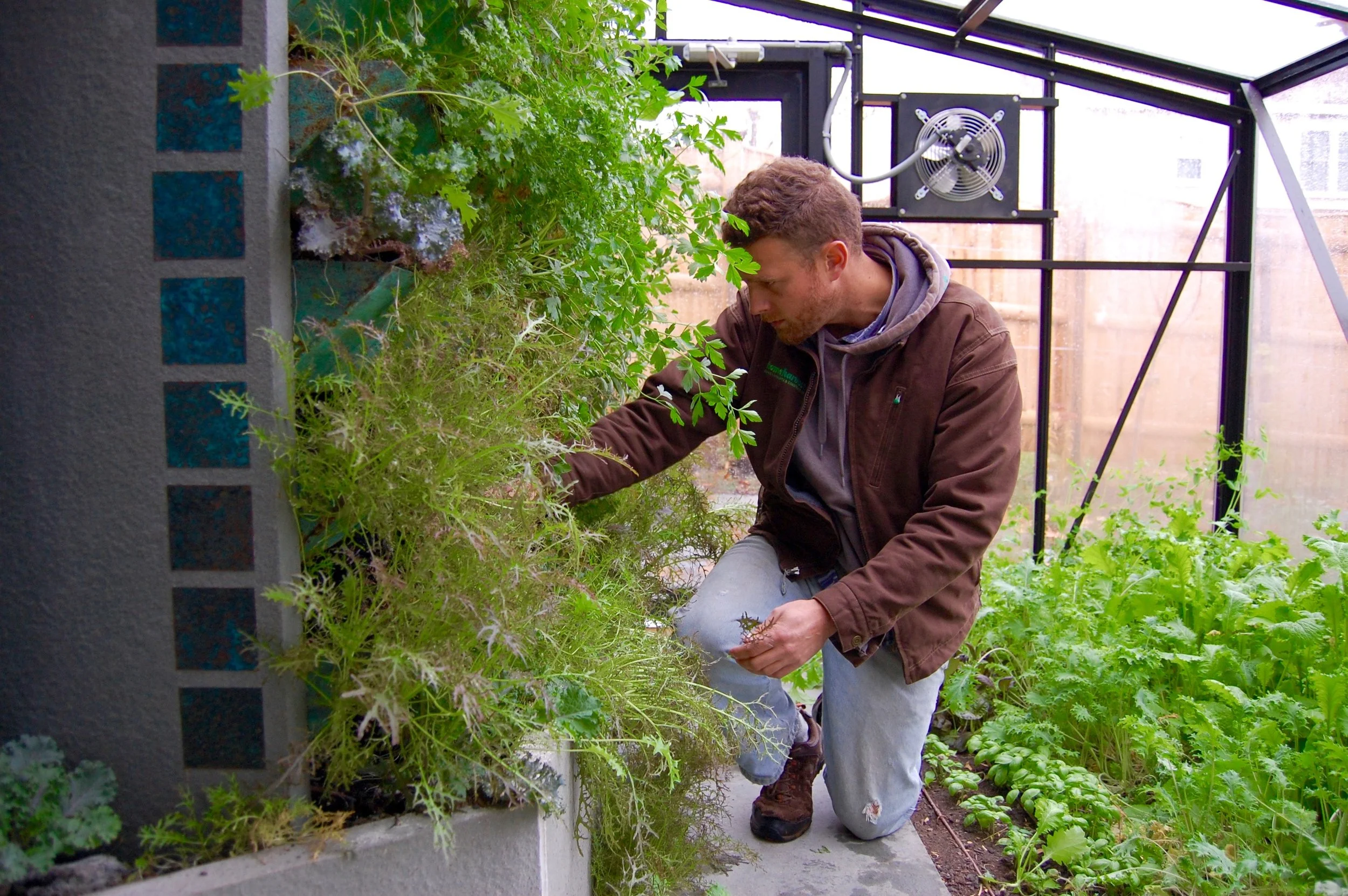 greenhouse service.jpg