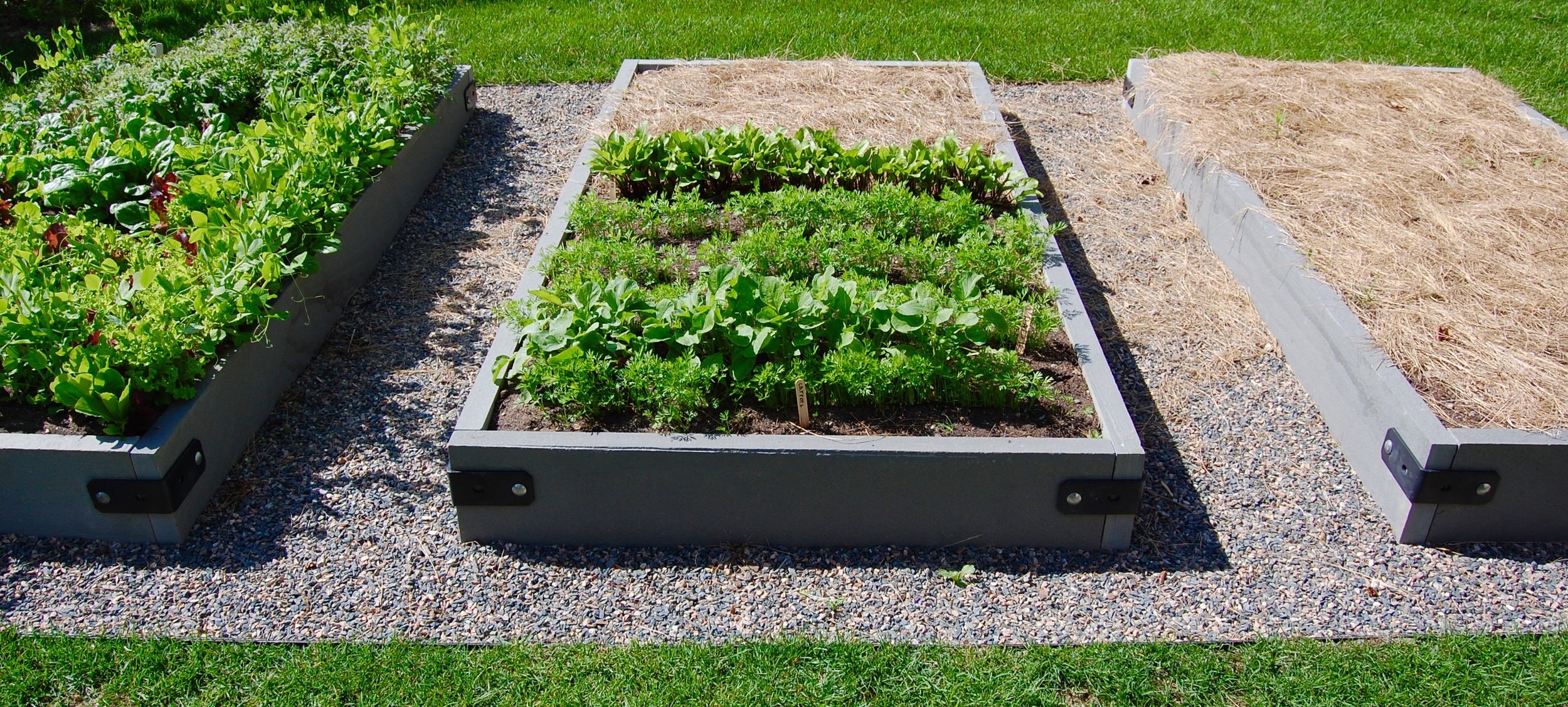Raised Beds