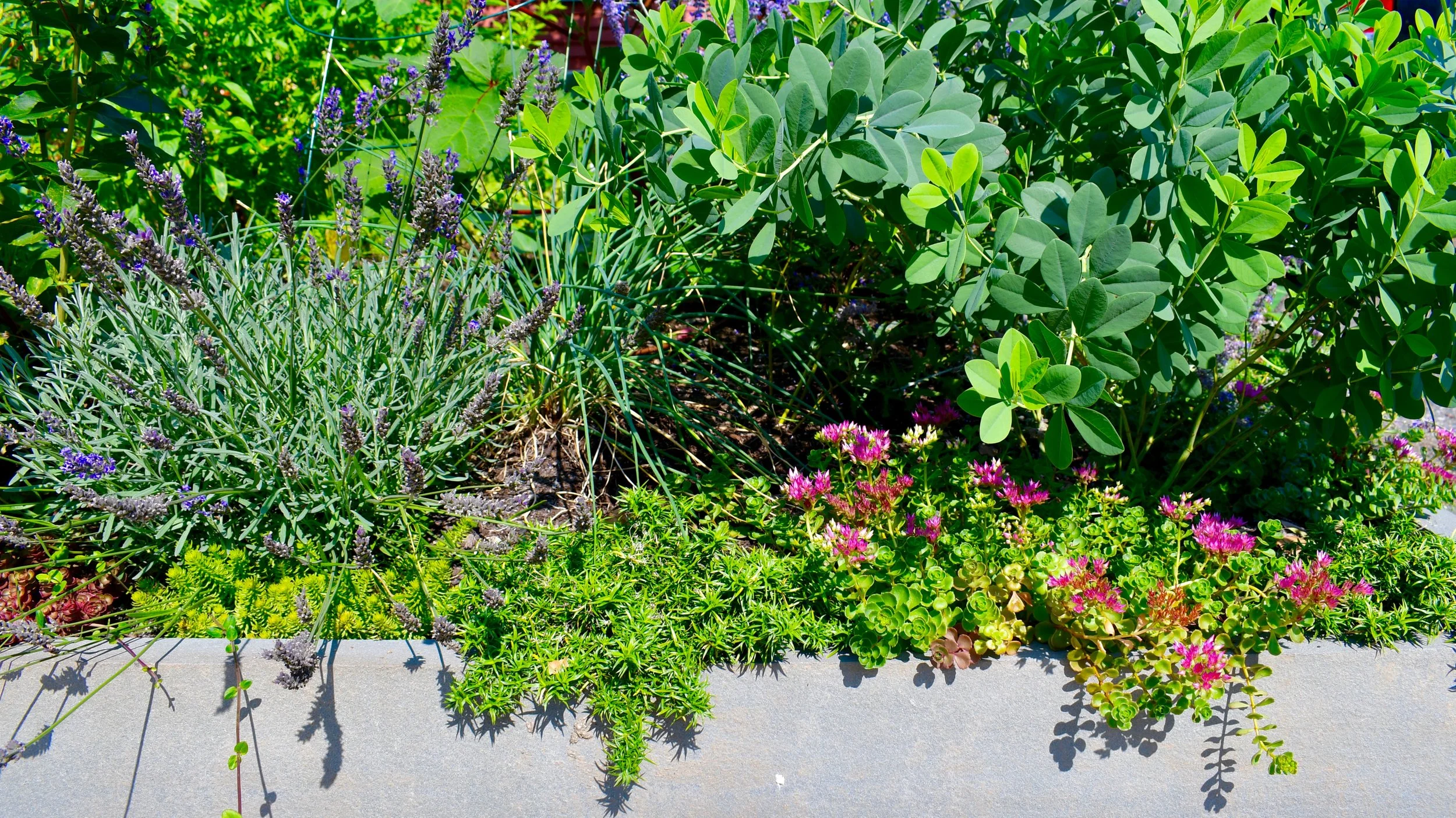 Scope Of Work: - Custom Design - Stone Wall Installation - Edible/Flower Garden Installation