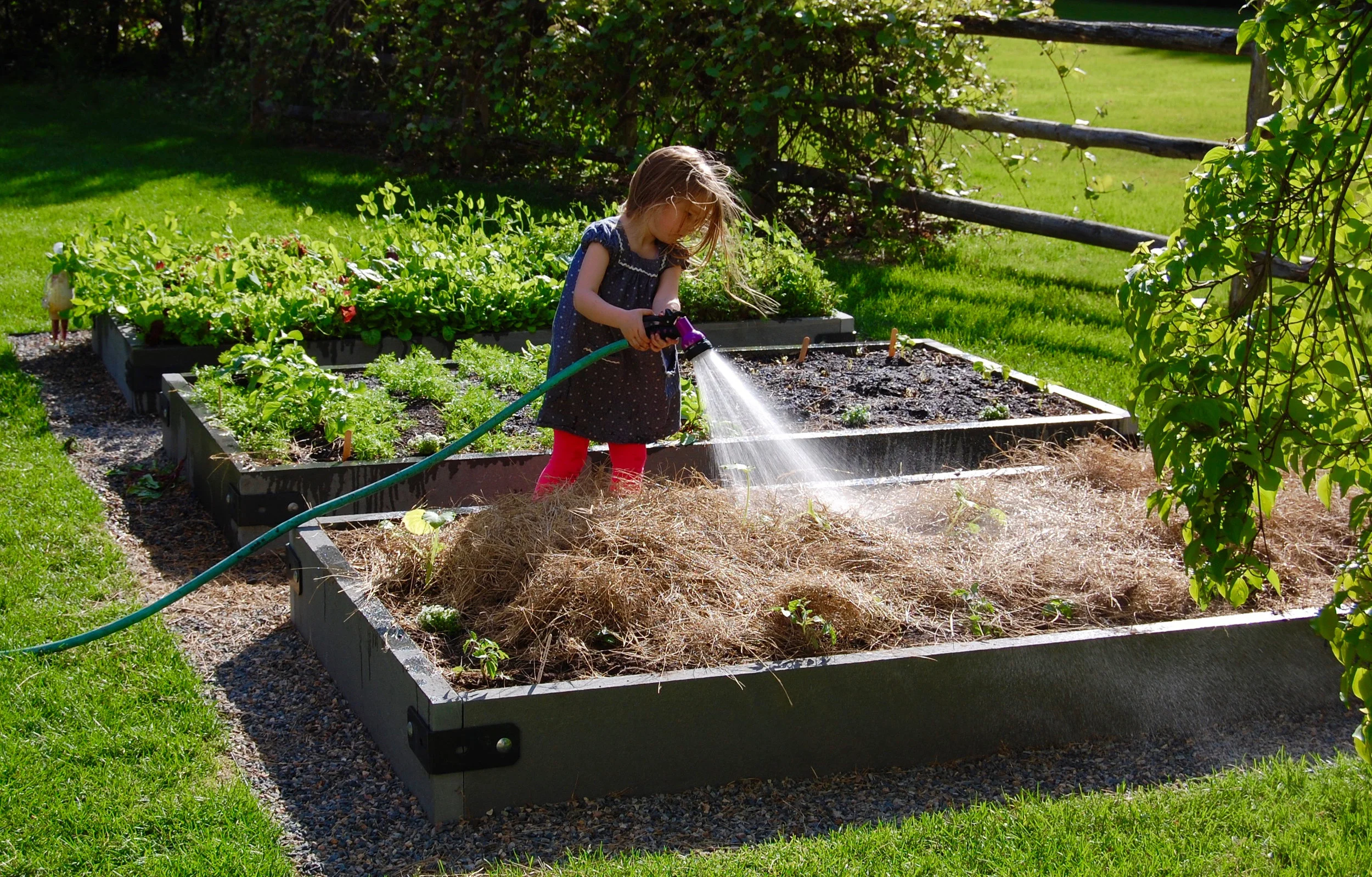 Love your landscape Book Consultation