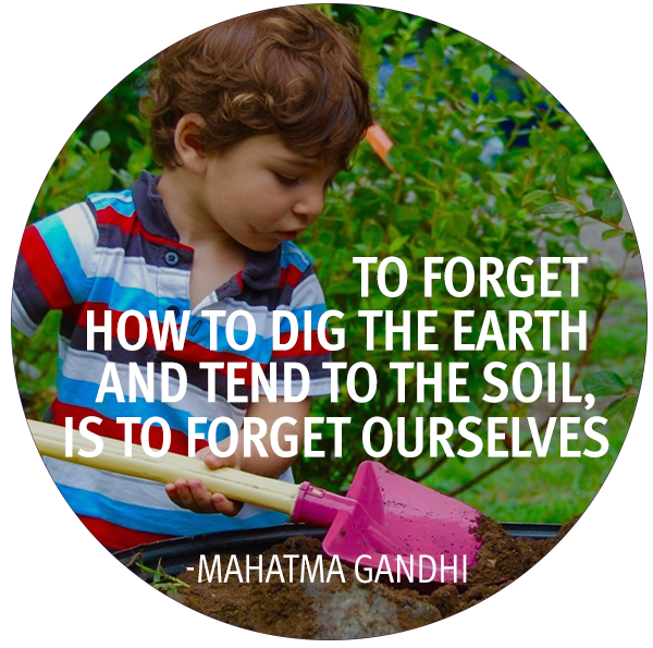 Quote2.png