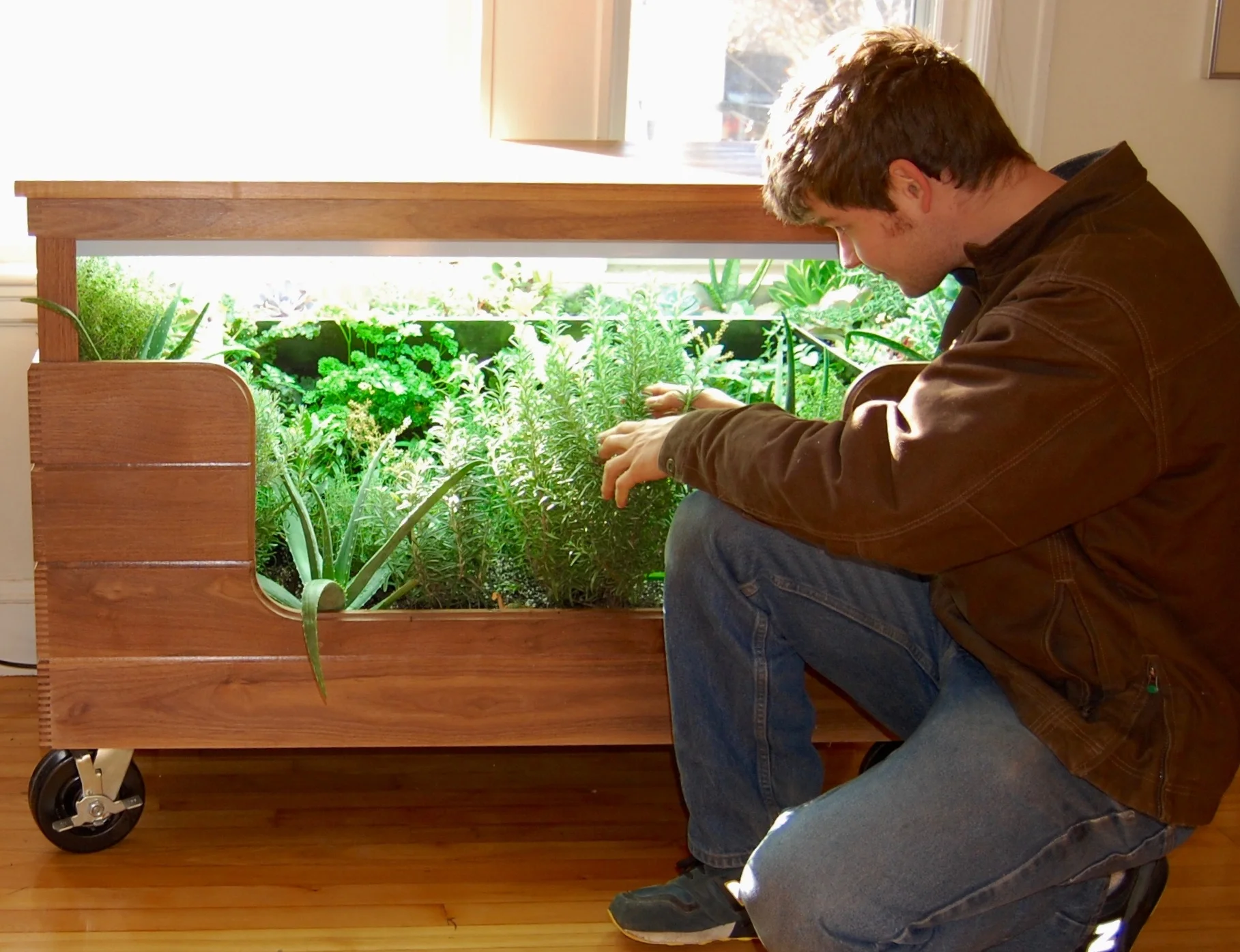 Scope Of Work: - Custom Design - Indoor Garden Construction - Custom Metal Fabric Fabrication - Custom Reclaimed Walnut Lumber Fabrication