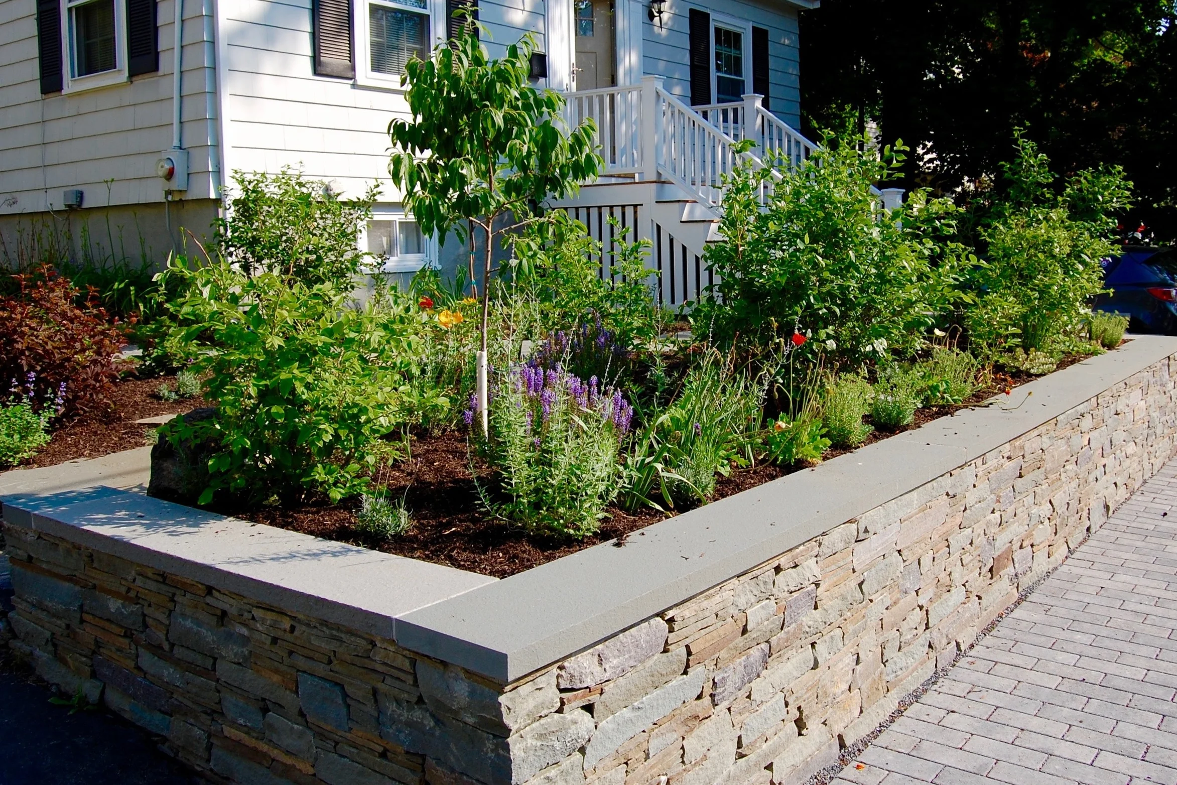 Scope Of Work: - Custom Design - Significant Grading and Demolition - Permeable Paver Sidewalk and Driveway Installation - Natural Stone Wall Installation - Edible Garden Installation - Steps Installation
