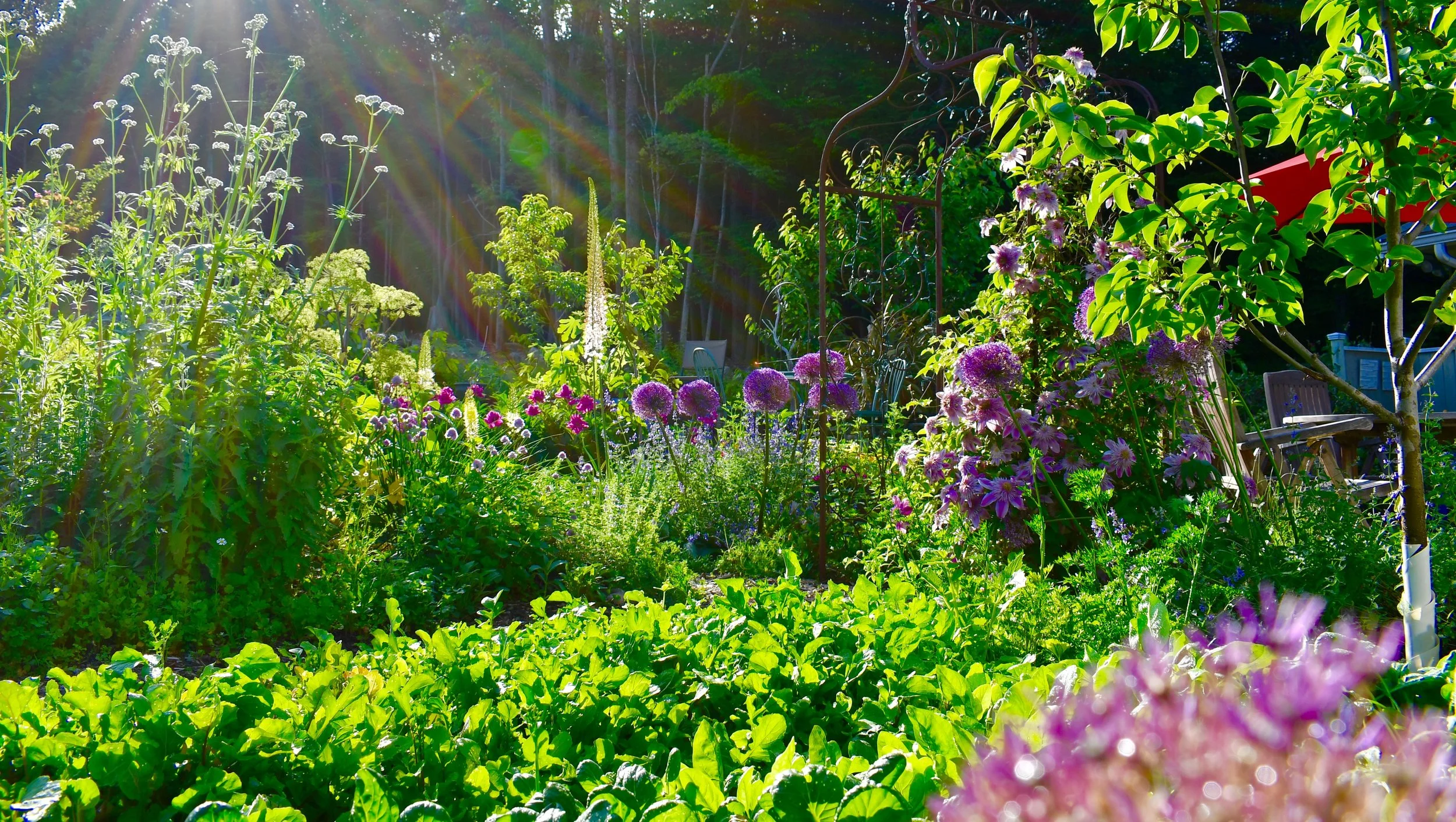   Beautify your landscape    Book Consultation  