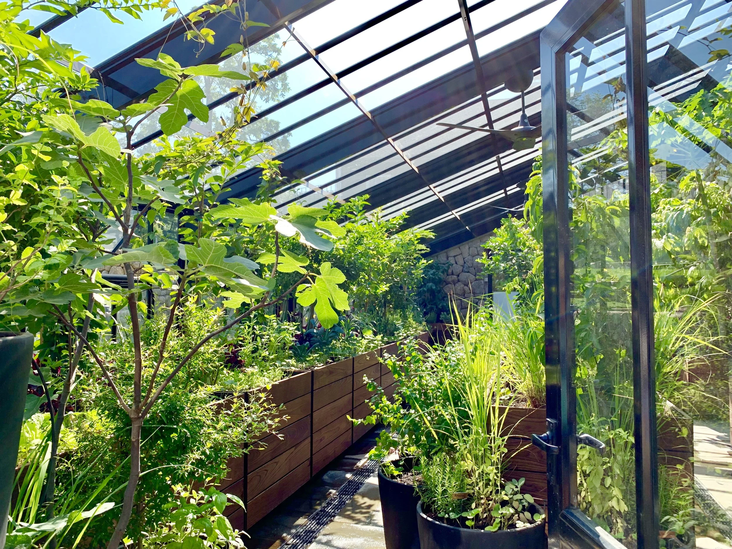   Enliven your landscape    Book Consultation  