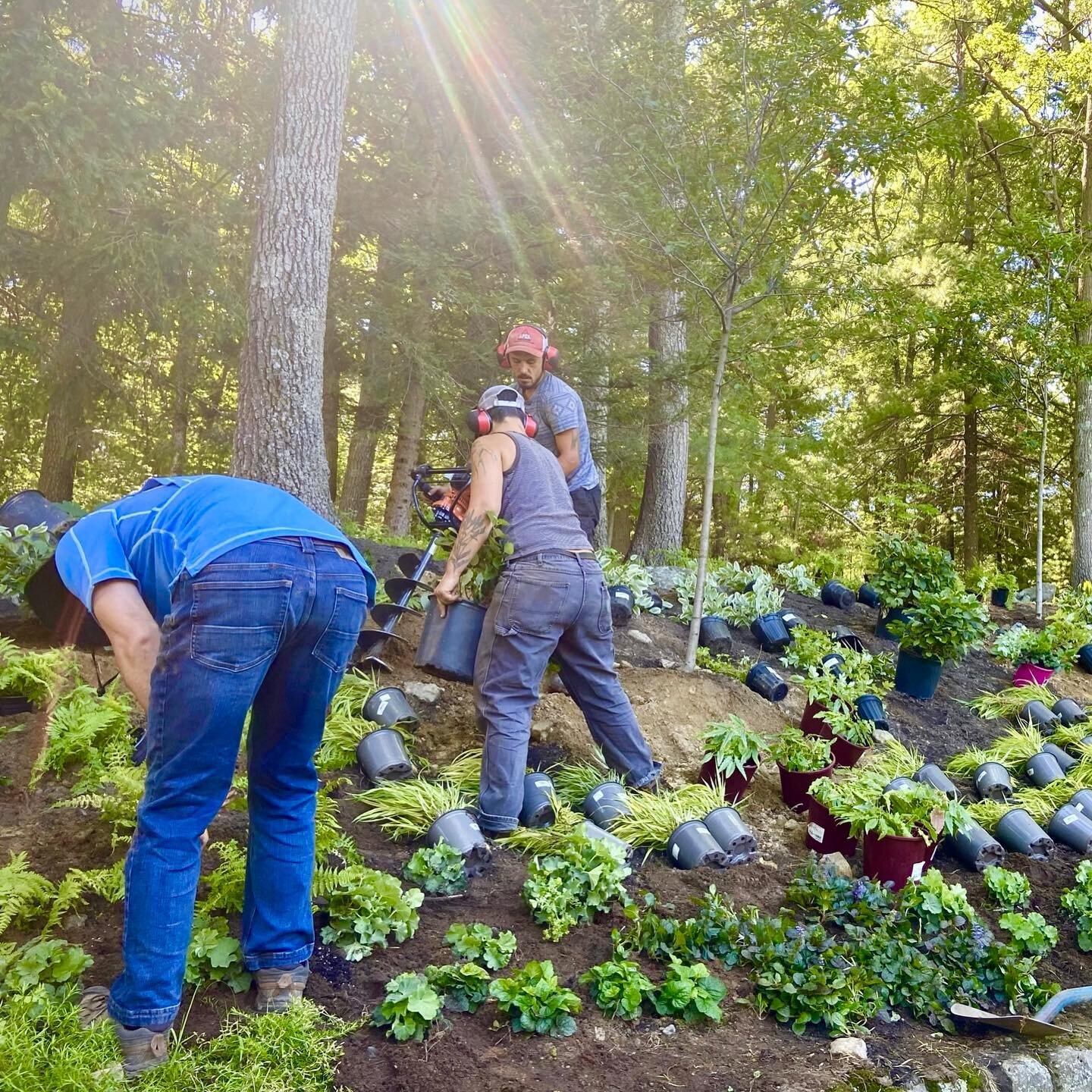 Incredibly proud of and grateful for our hardworking team! We&rsquo;re installing gardens right through the heat, beautifying landscapes and helping people grow their own food. Stay hydrated out there, plants and people!