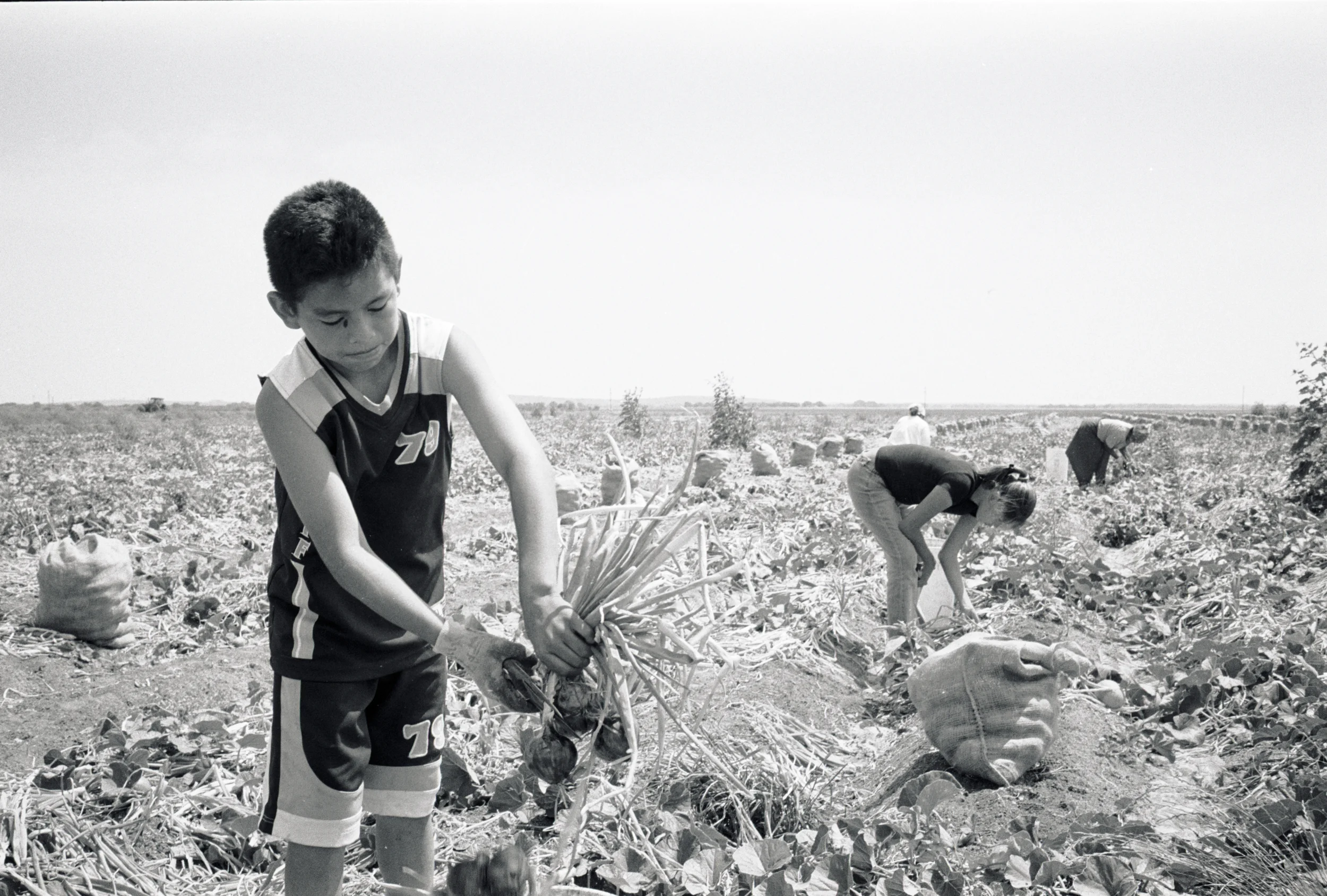 Broken Promises, Stolen Childhoods