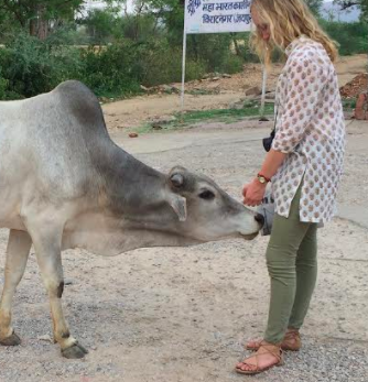 Raid, Rescue and a Sacred Cow