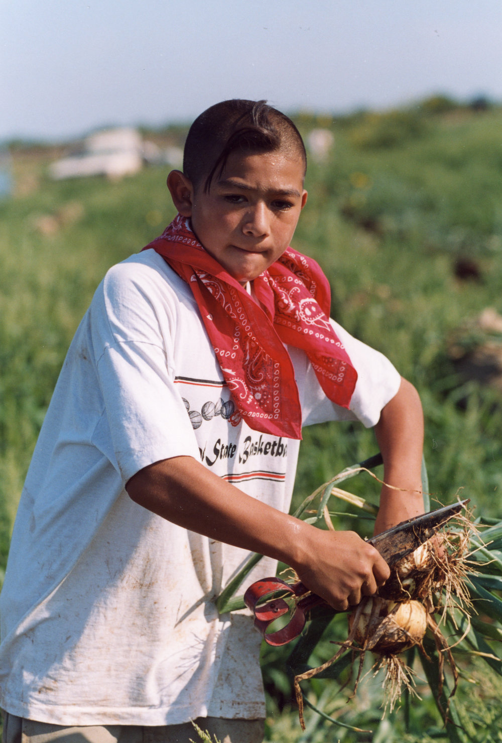 The Harvest ~ La Cosecha : a documentary