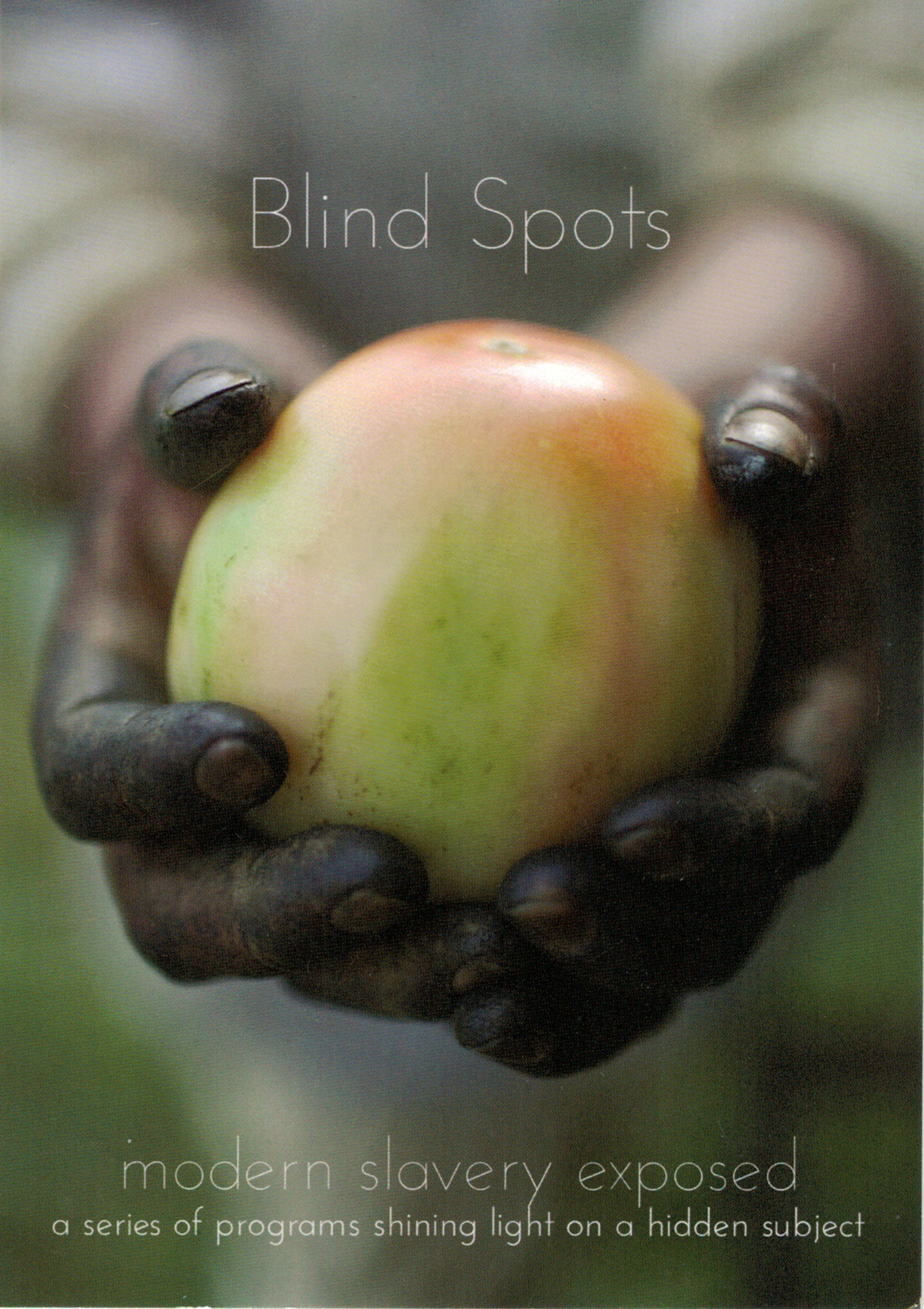Blind Spots.jpeg