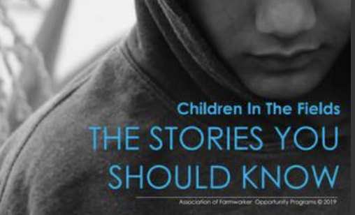 Children in the Fields - Stories You Should Know