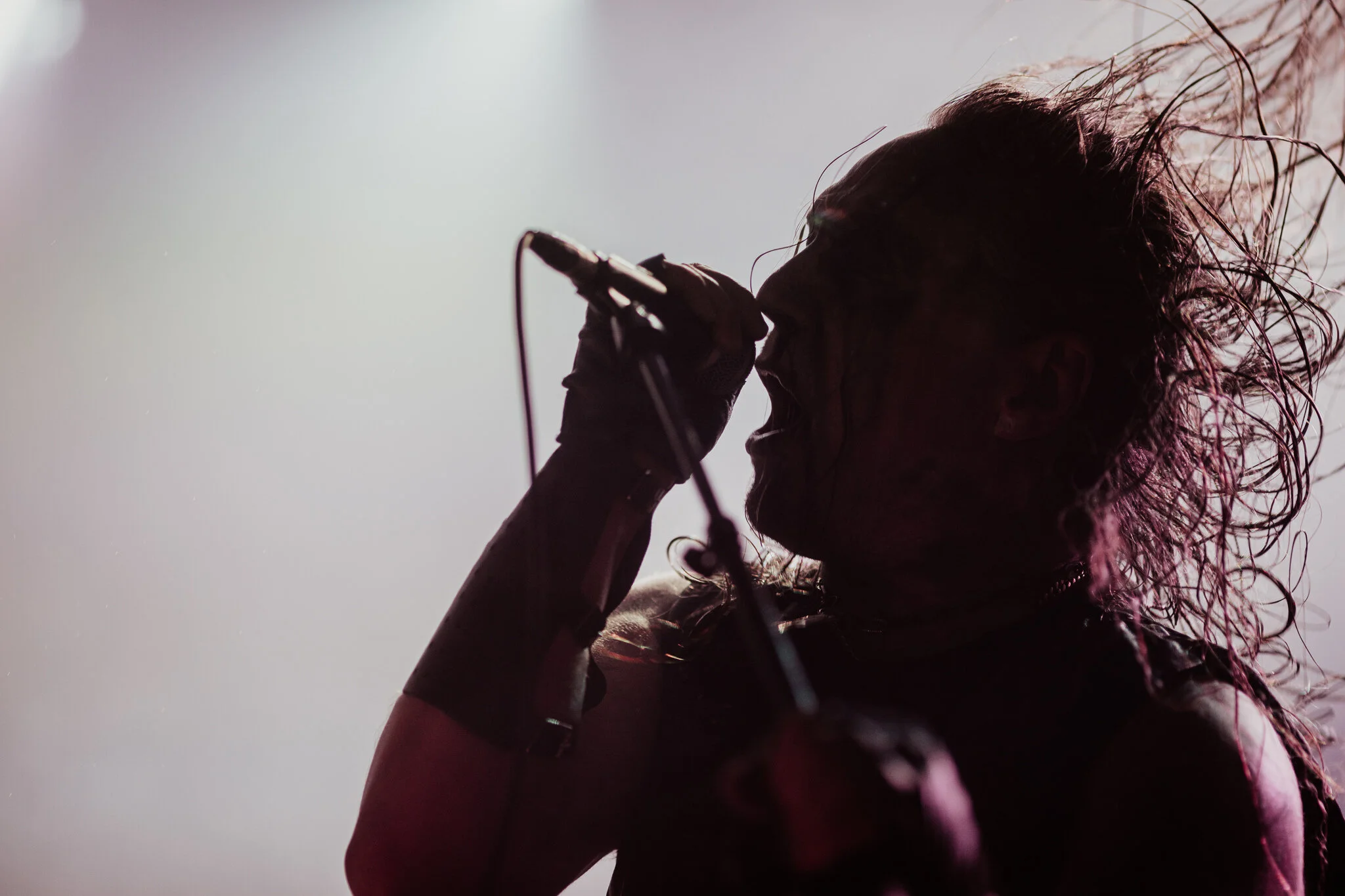 Som du måske kan huske, så havde jeg taget kameraet med til Odense Metalfest for et par uger siden. Hvis du er til metalmusik, så kender du også begreberne svenskerdød og trve black. Begge ting, og meget mere, kan du se