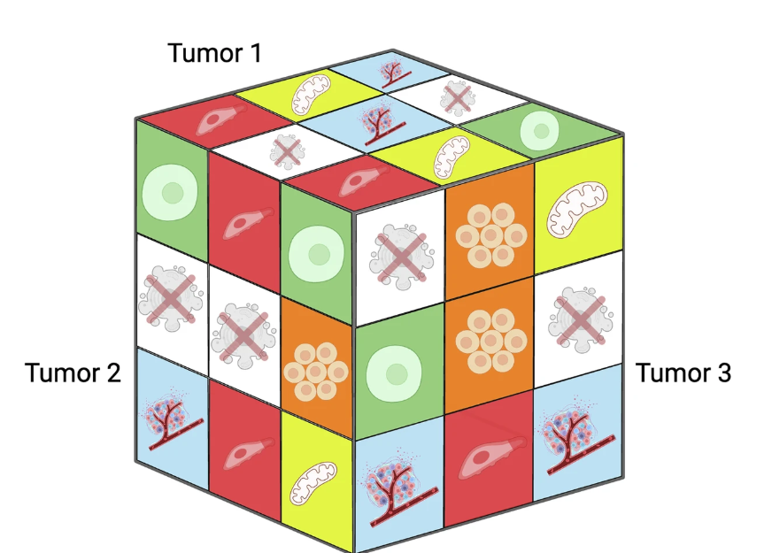 Our Cilia &amp; Cancer review is out!