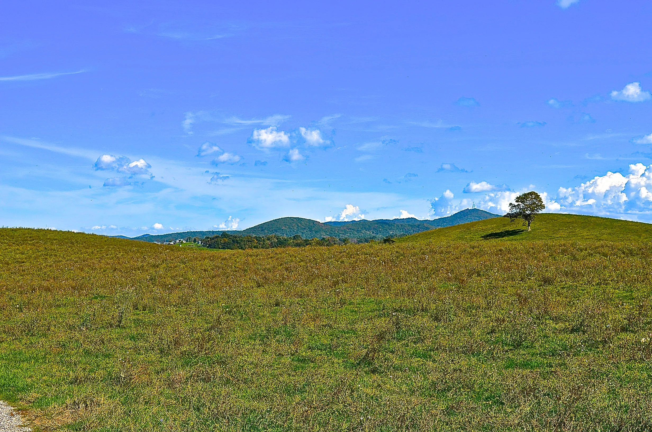 Wytheville VA property ground 7